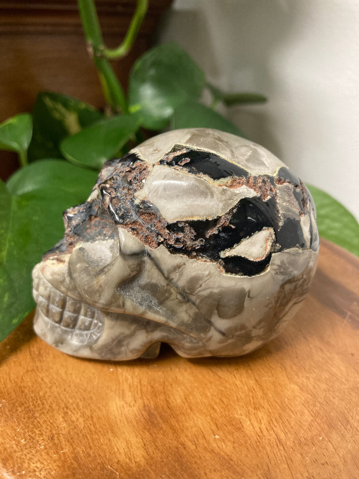 Agate Crystal Skull A