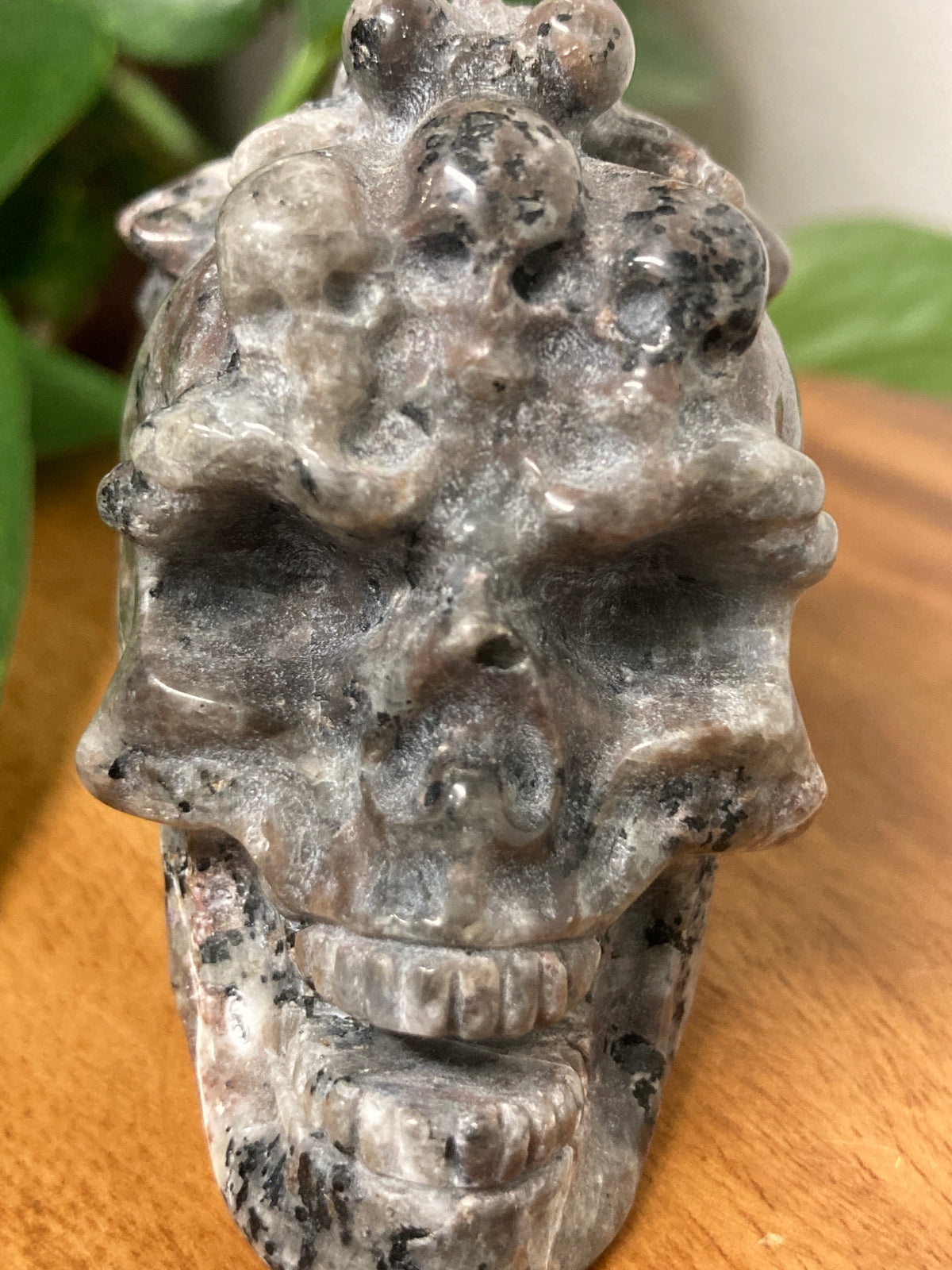 Yooperlite Skull