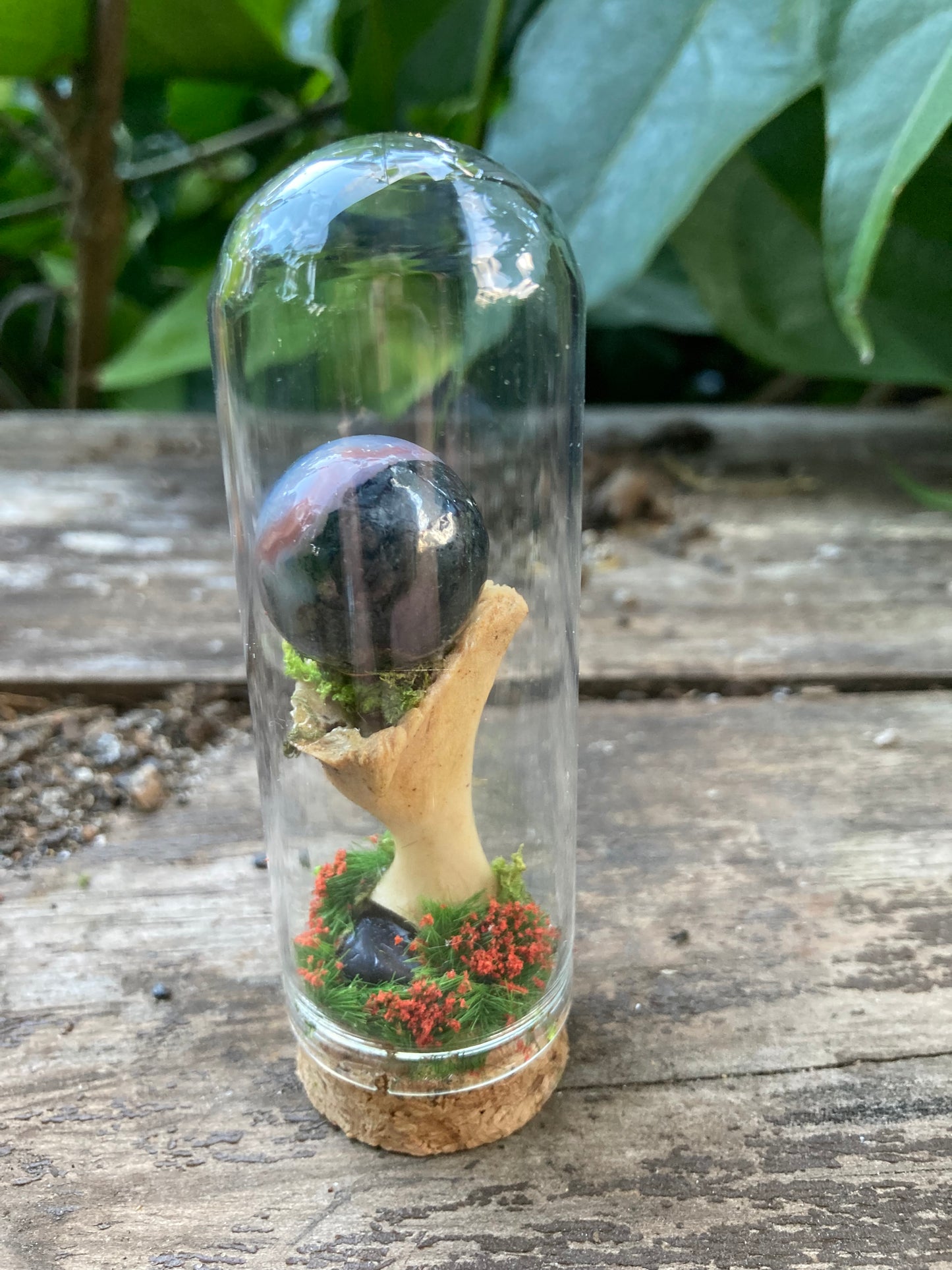 Turtle Bone Garden
