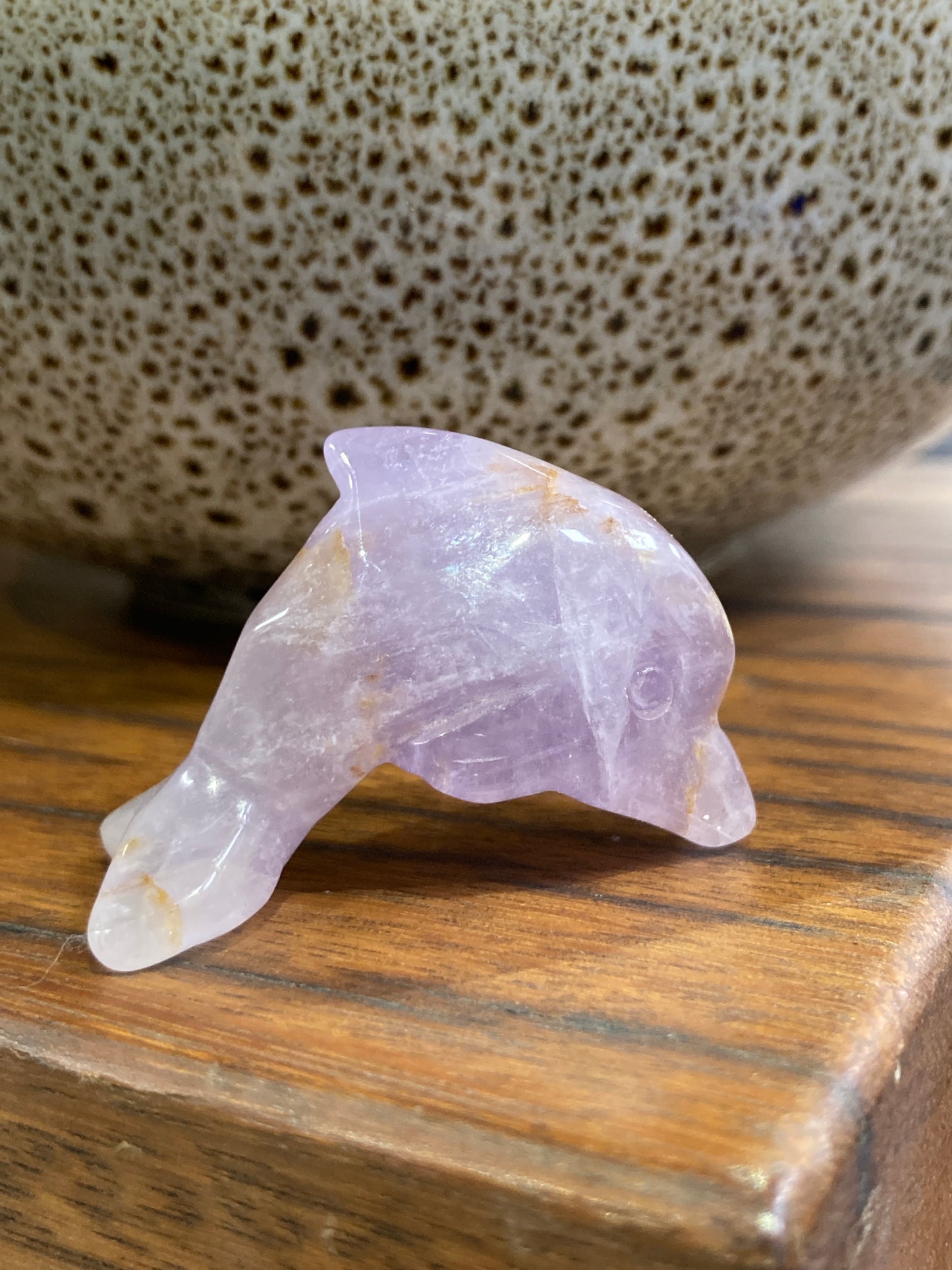 Amethyst Dolphin