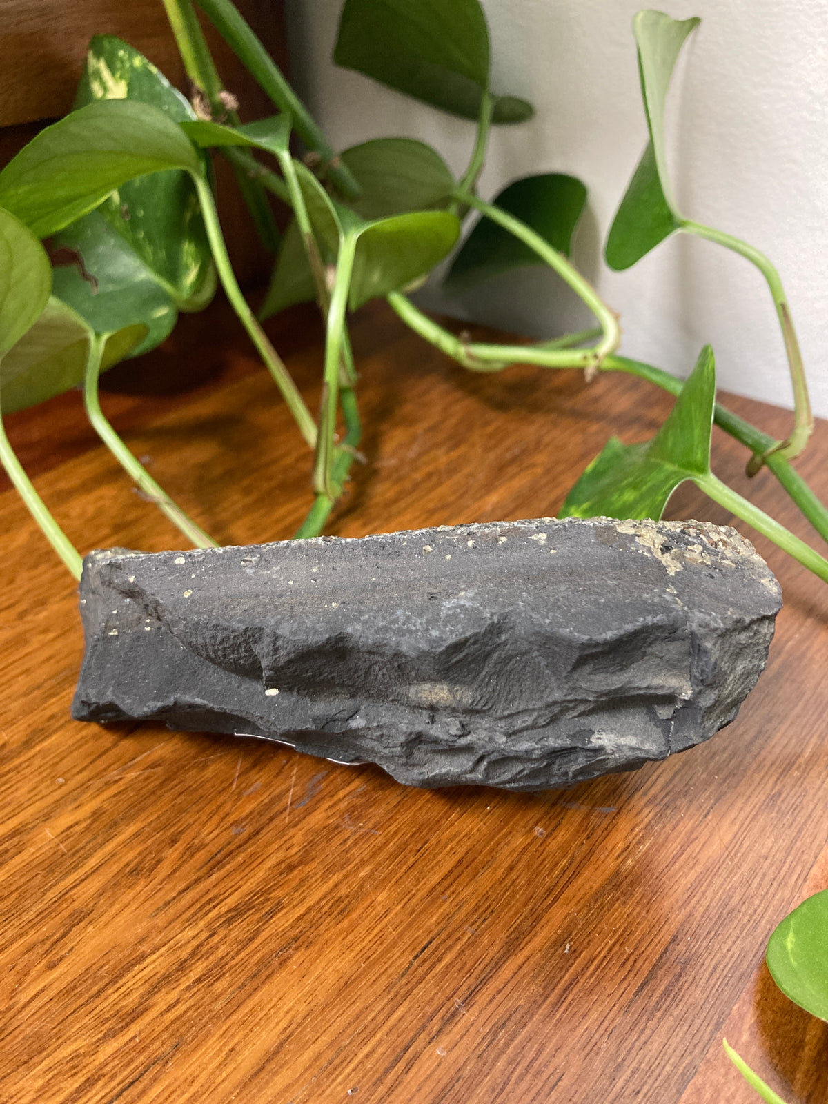 Shungite with Pyrite B