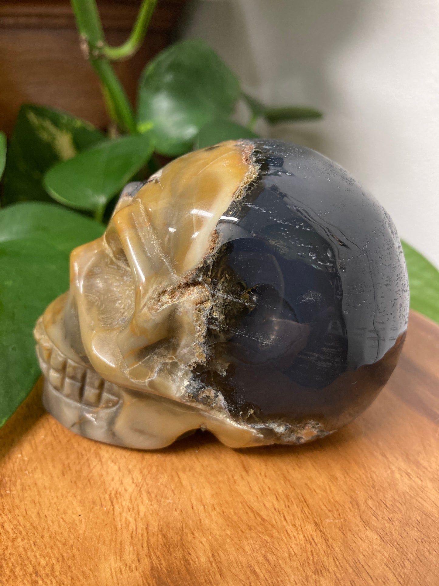 Agate Crystal Skull B