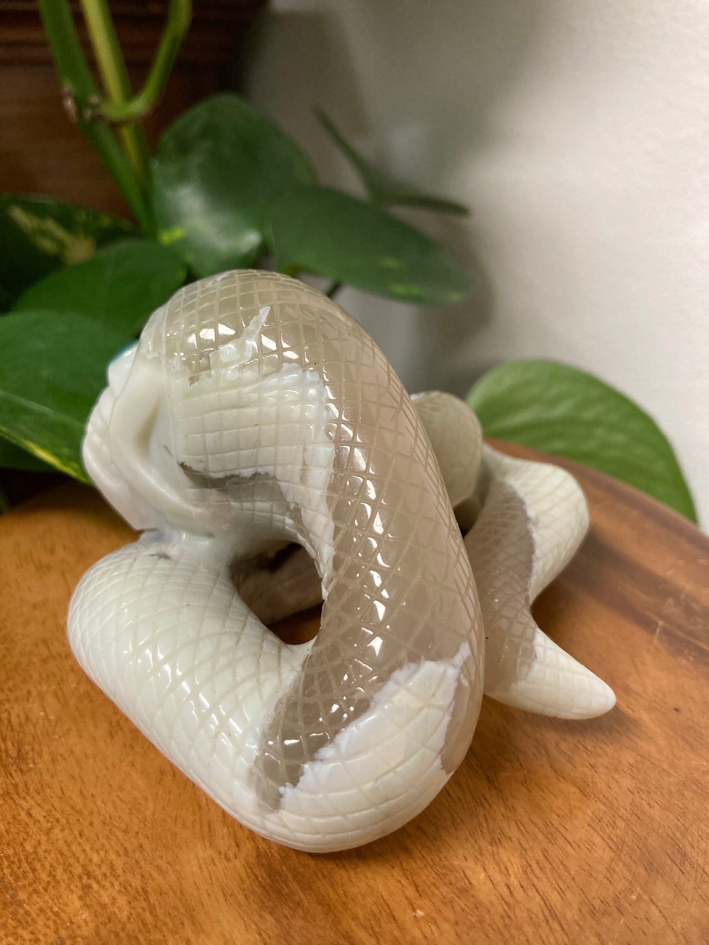 Moss Agate Skull Snake
