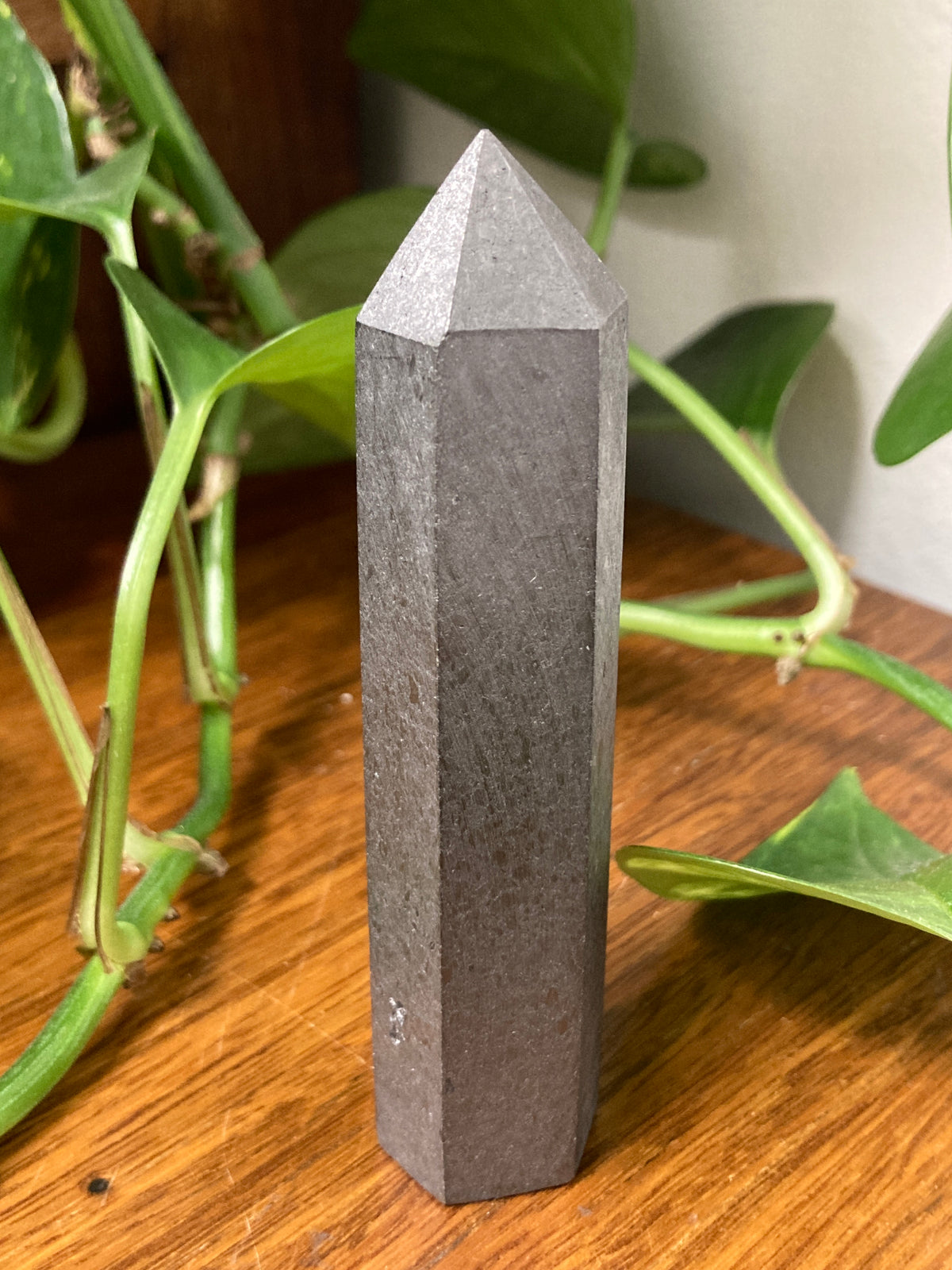 Petrovsky Shungite Generator