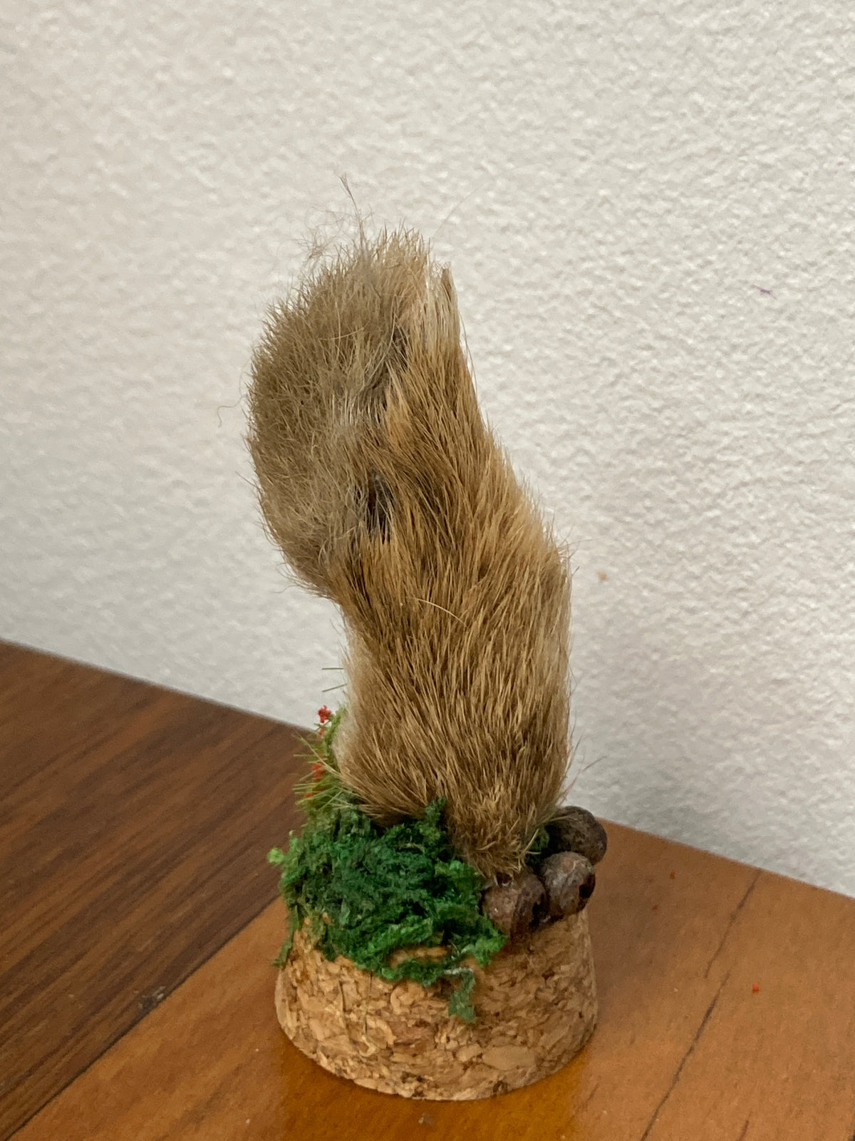 Hare Foot Bone Garden