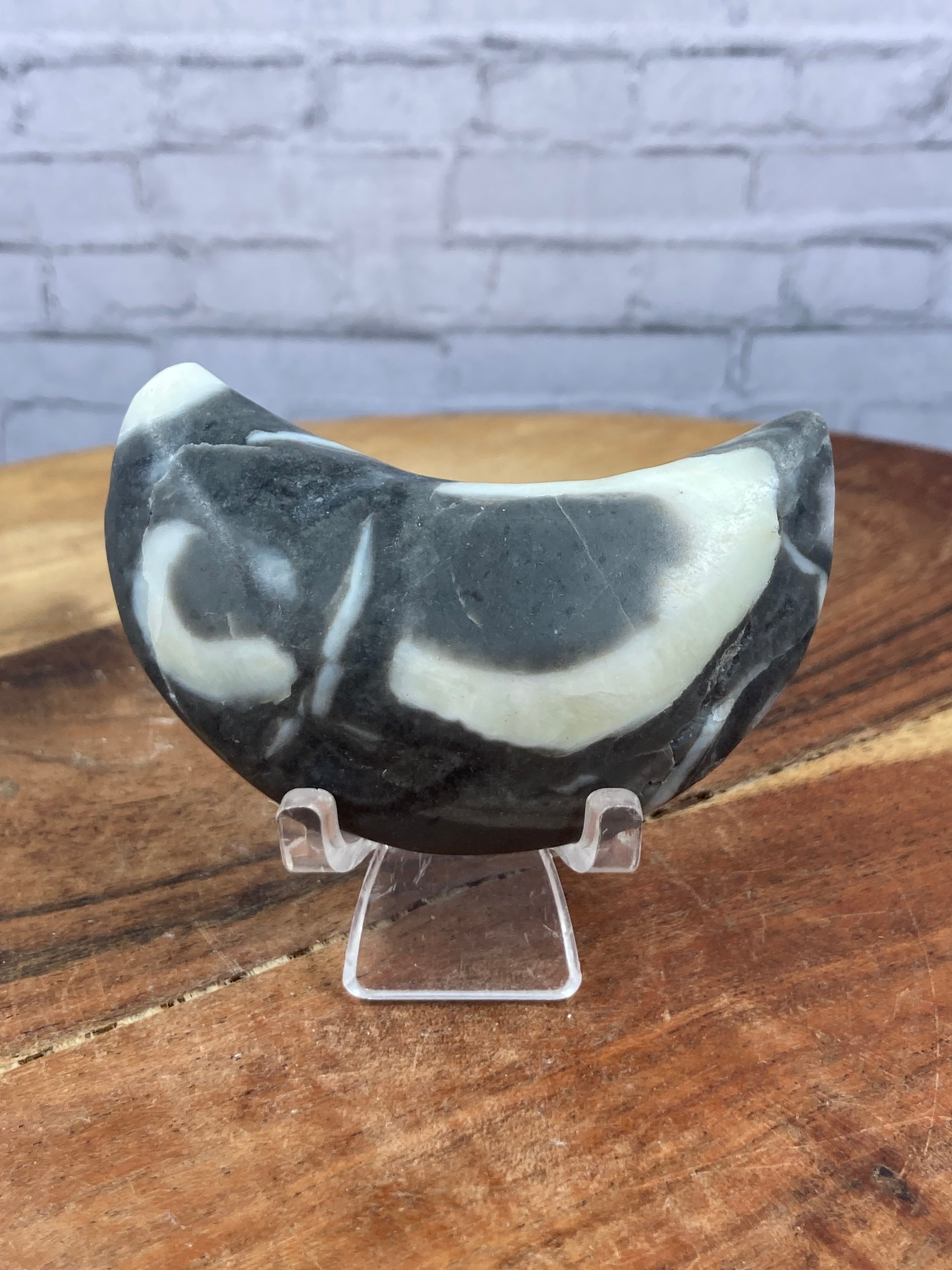 Fossil Shell Marble Moon – Magically Eccentric