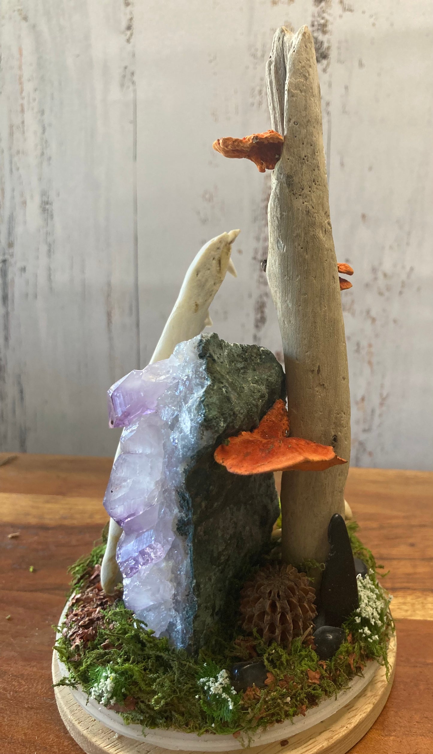 Bone Garden