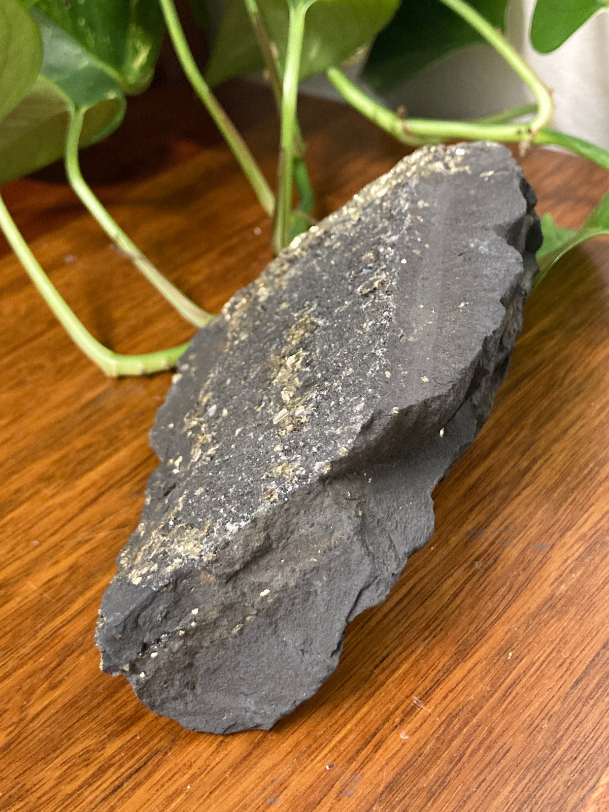 Shungite with Pyrite B