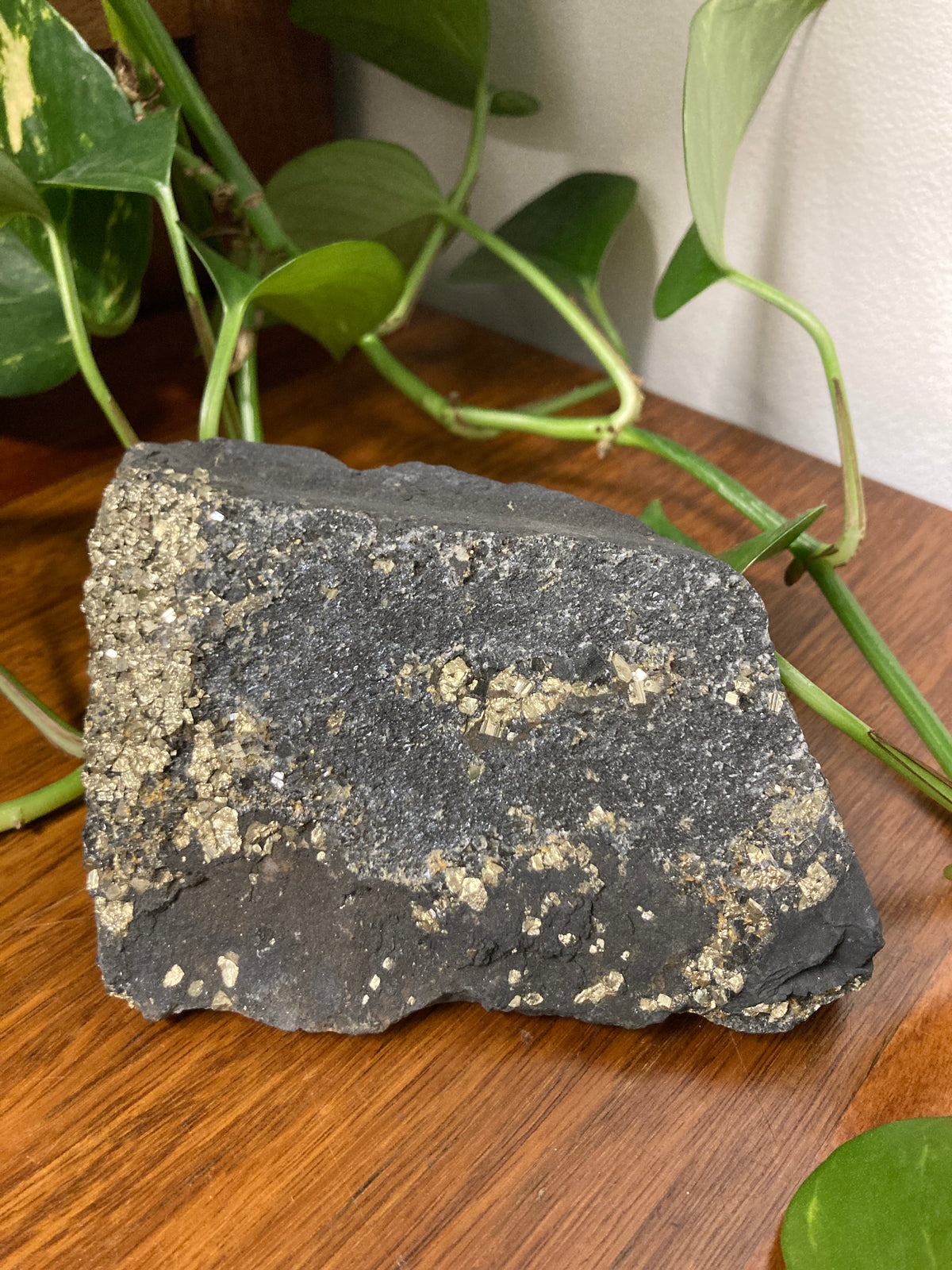 Shungite with Pyrite B