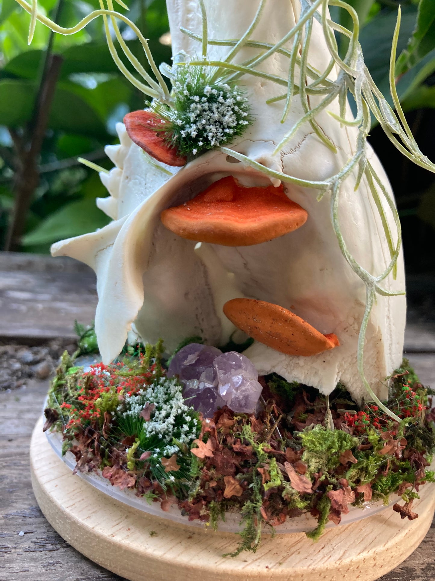 Bone Garden