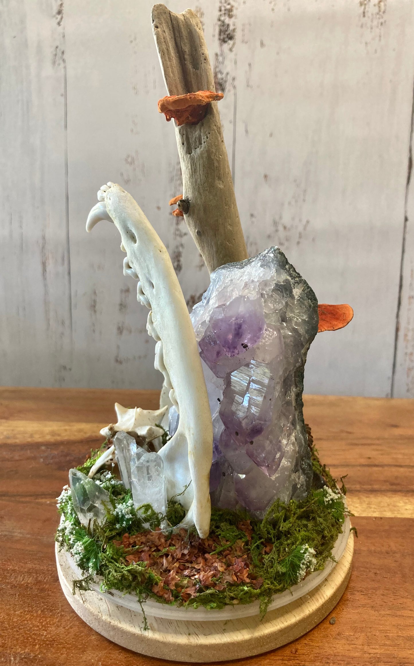 Bone Garden
