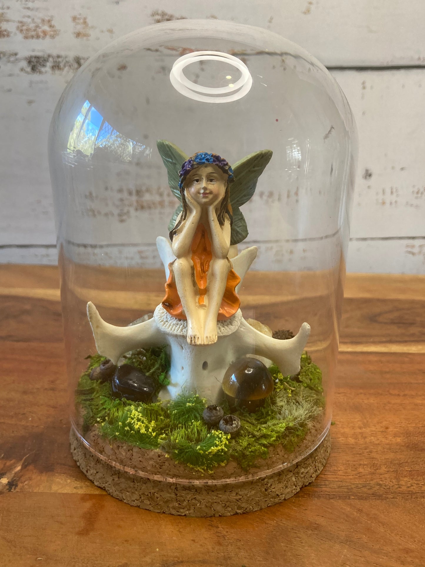 Fairy Bone Garden