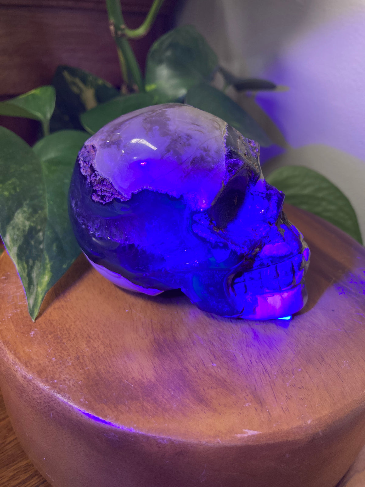 Agate Crystal Skull A