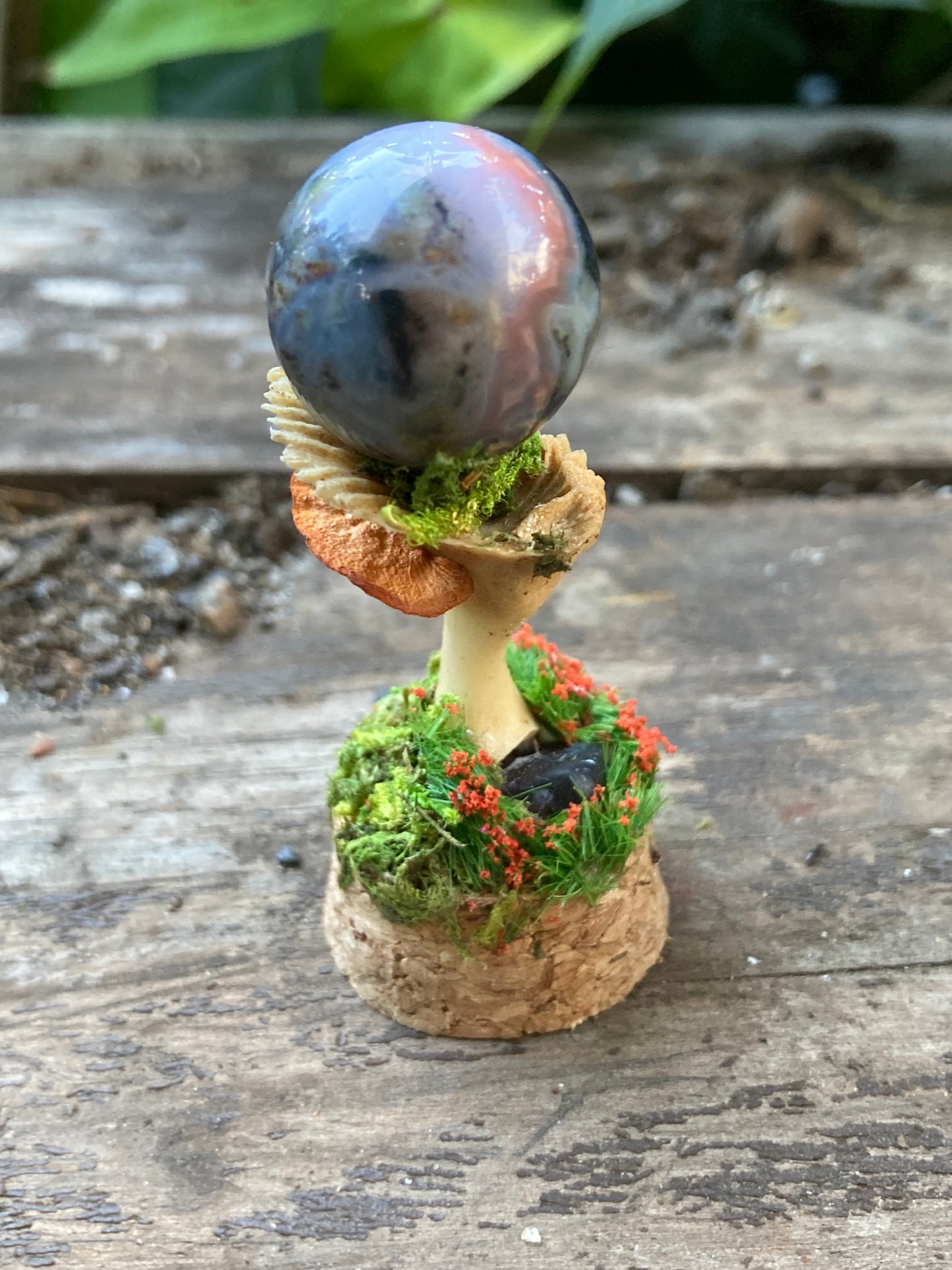 Turtle Bone Garden