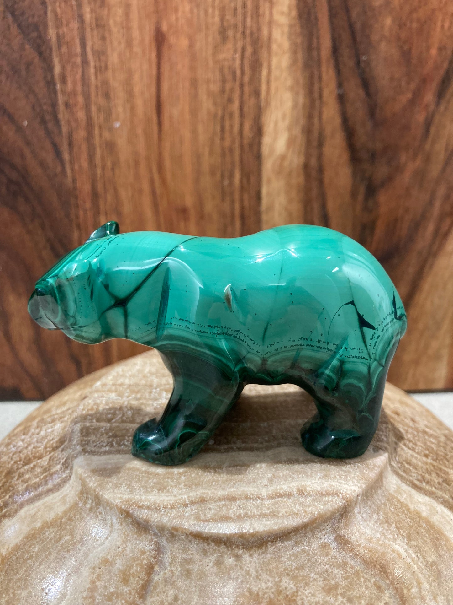 Malachite Bear