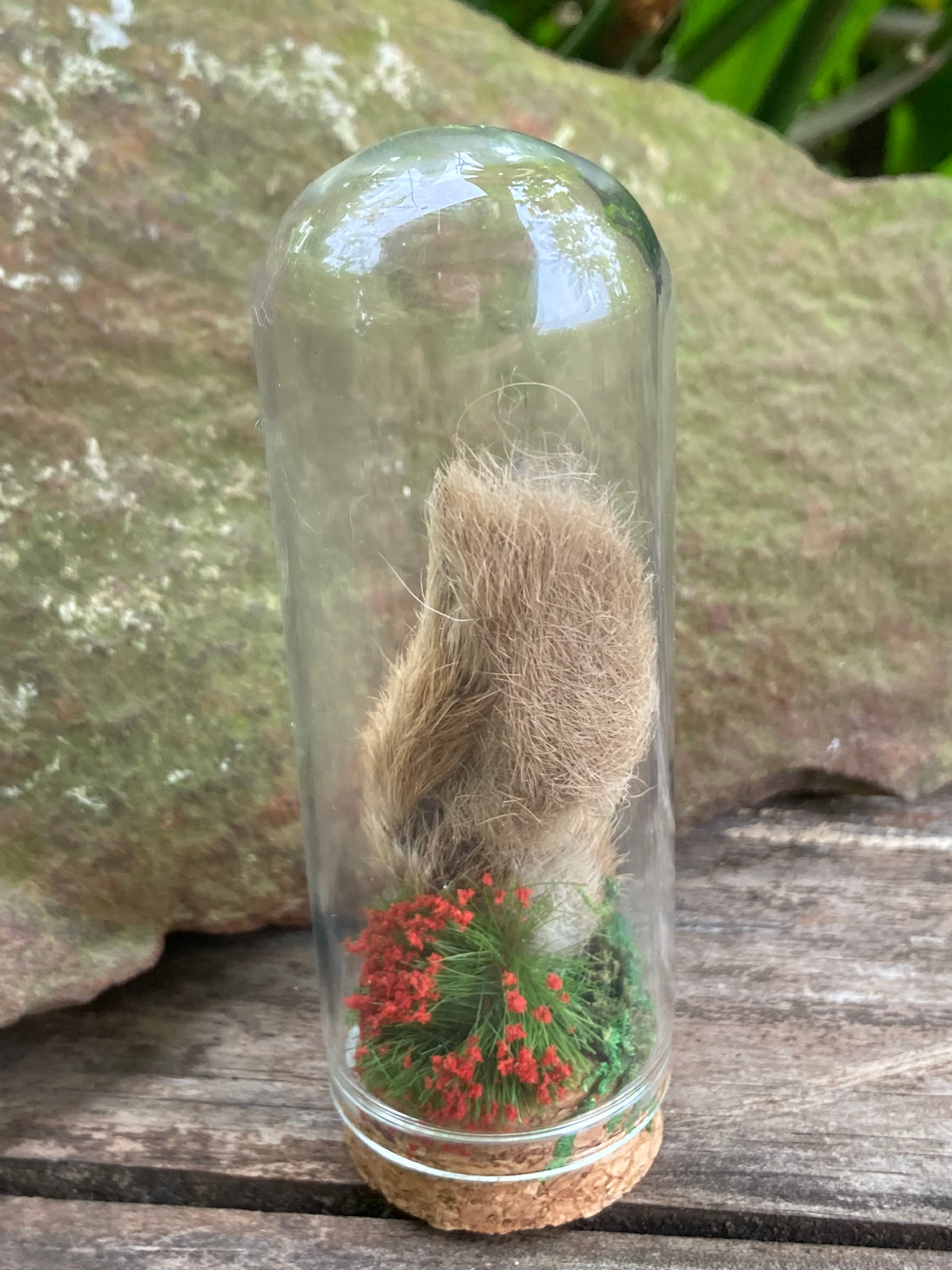 Hare Foot Bone Garden