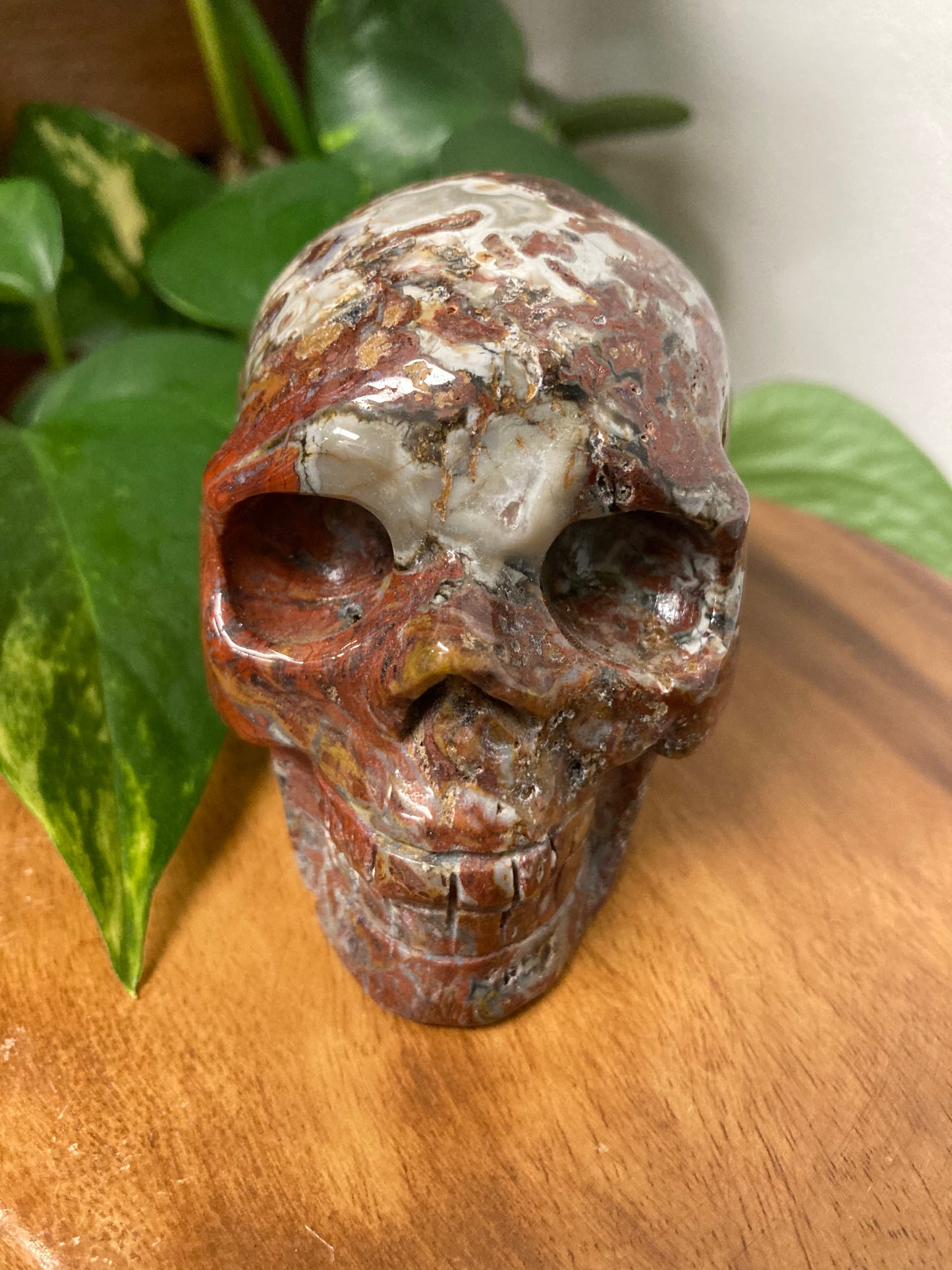 Red Jasper Crystal Skull