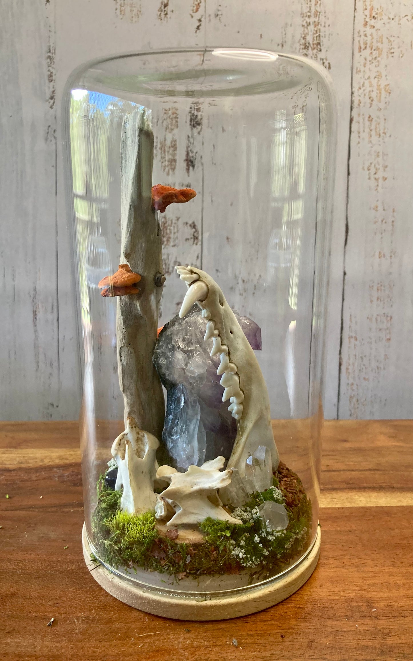 Bone Garden
