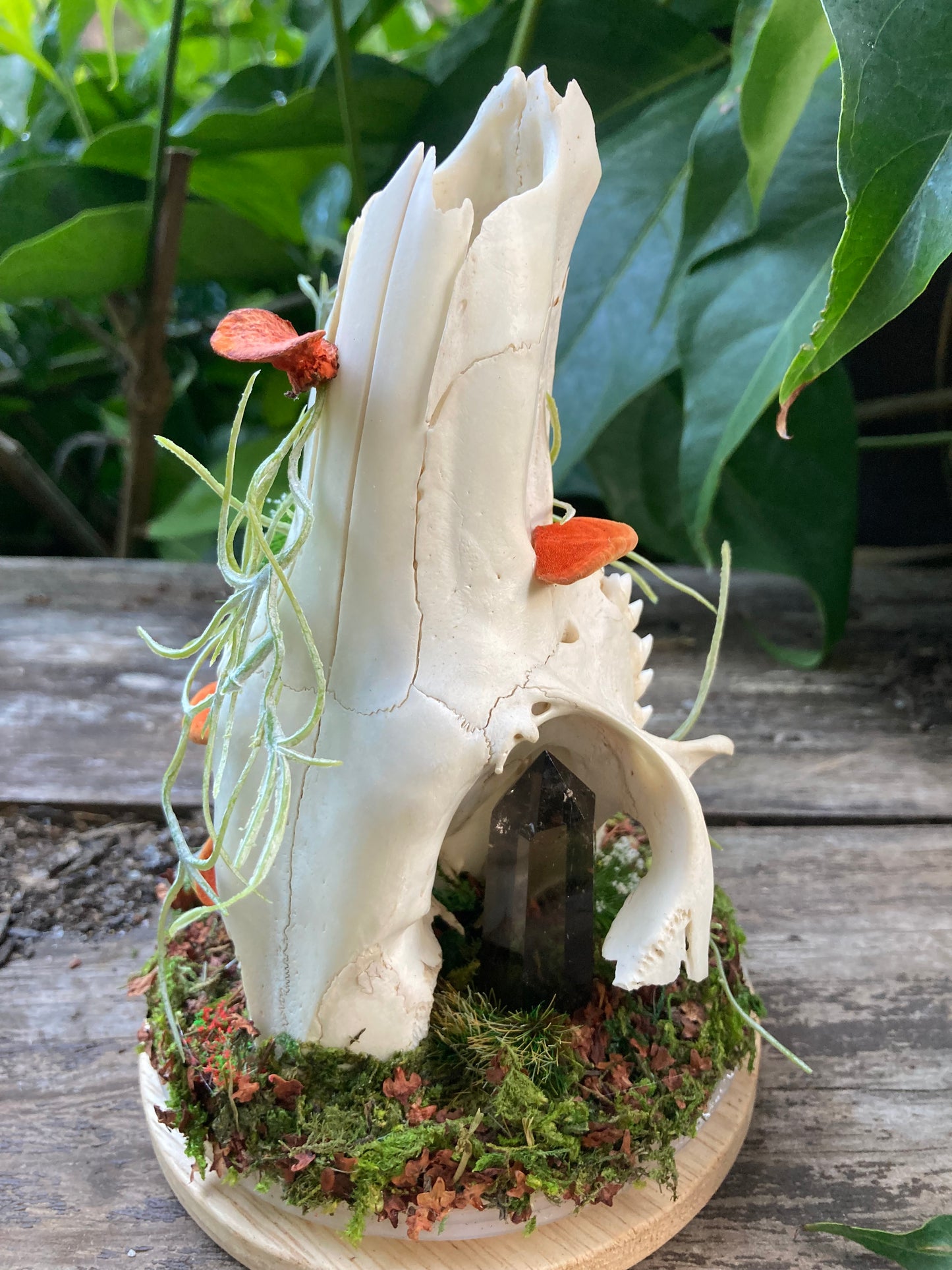 Bone Garden