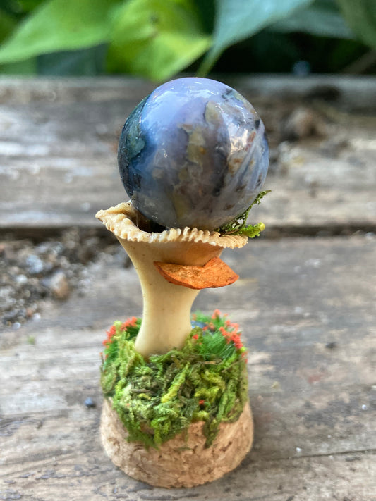 Turtle Bone Garden