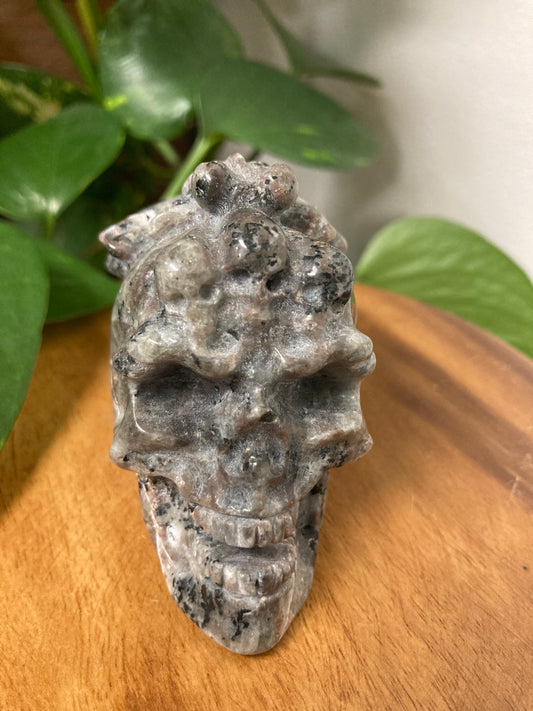 Yooperlite Skull