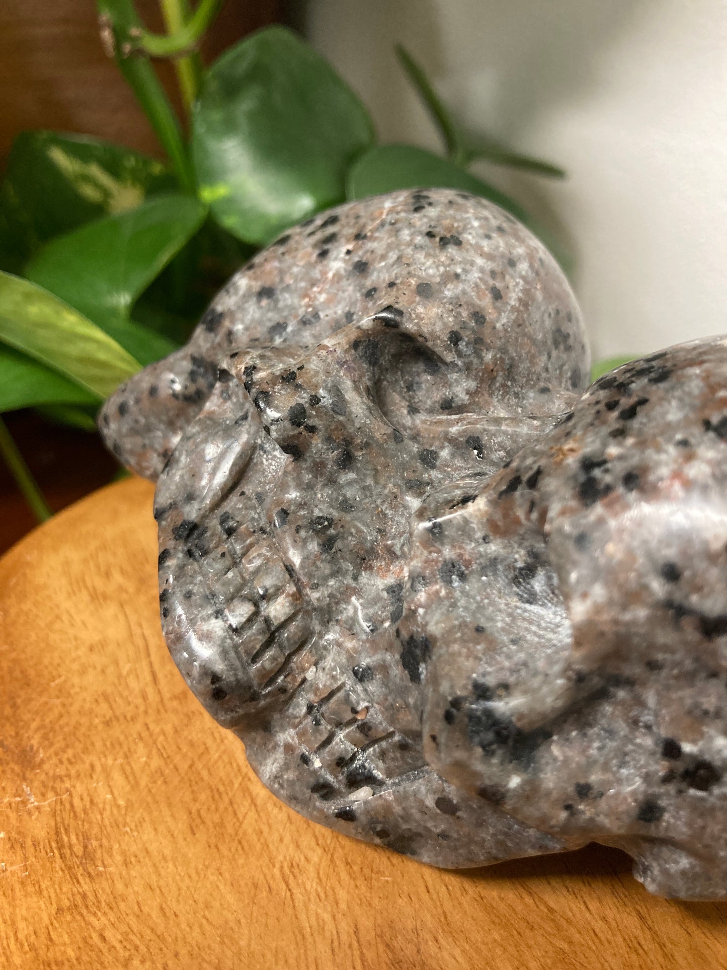 Yooperlite Skull
