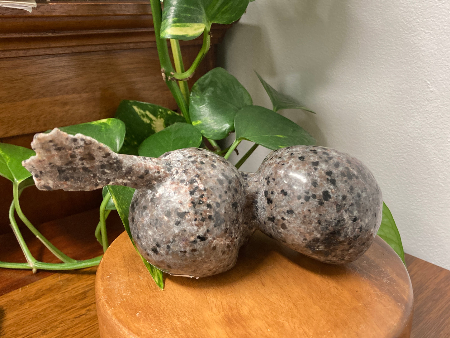 Yooperlite Skull