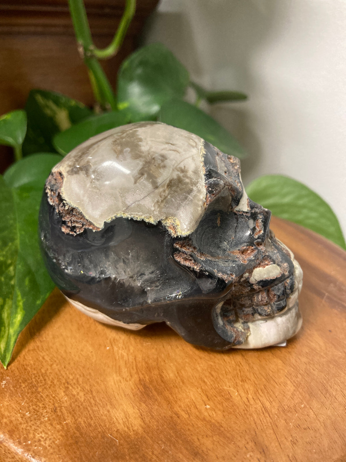 Agate Crystal Skull A