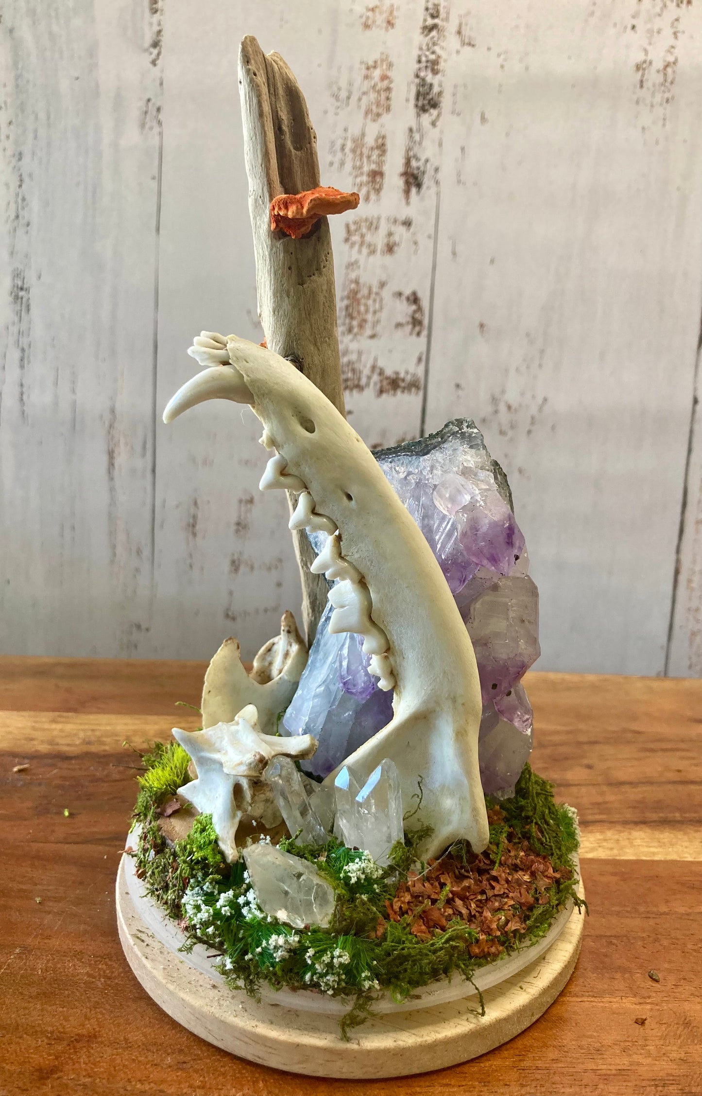 Bone Garden
