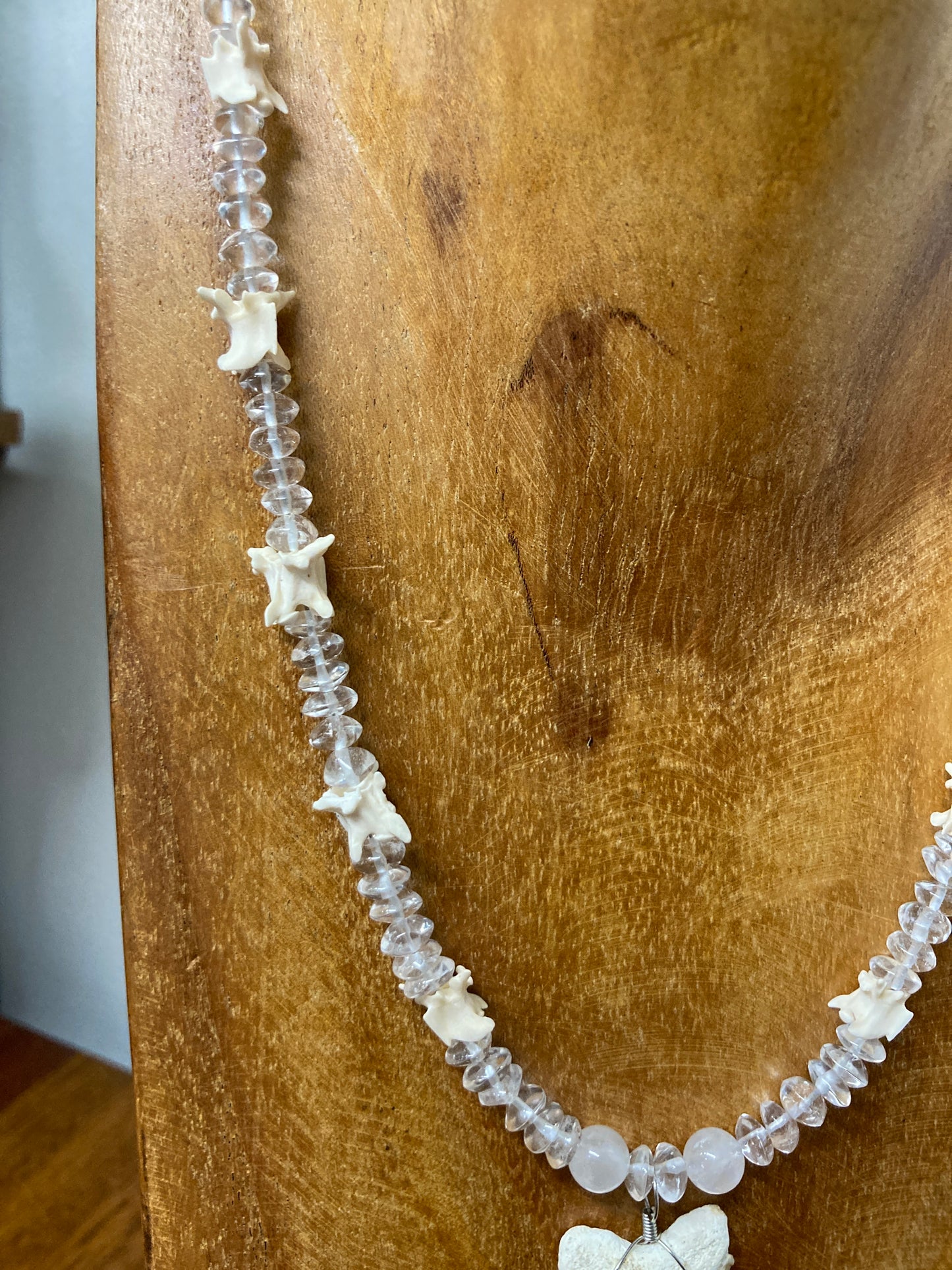 Shark Tooth, Snake Vertabrae Necklace