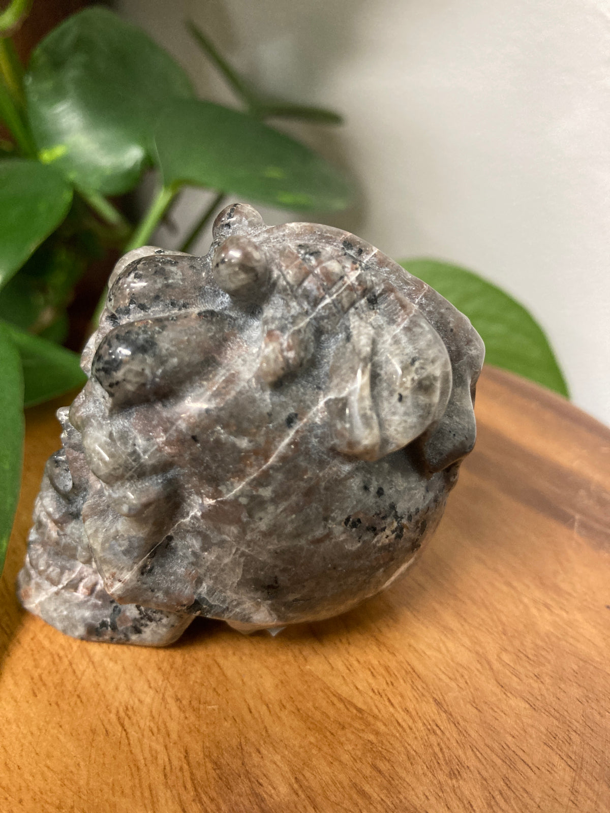 Yooperlite Skull