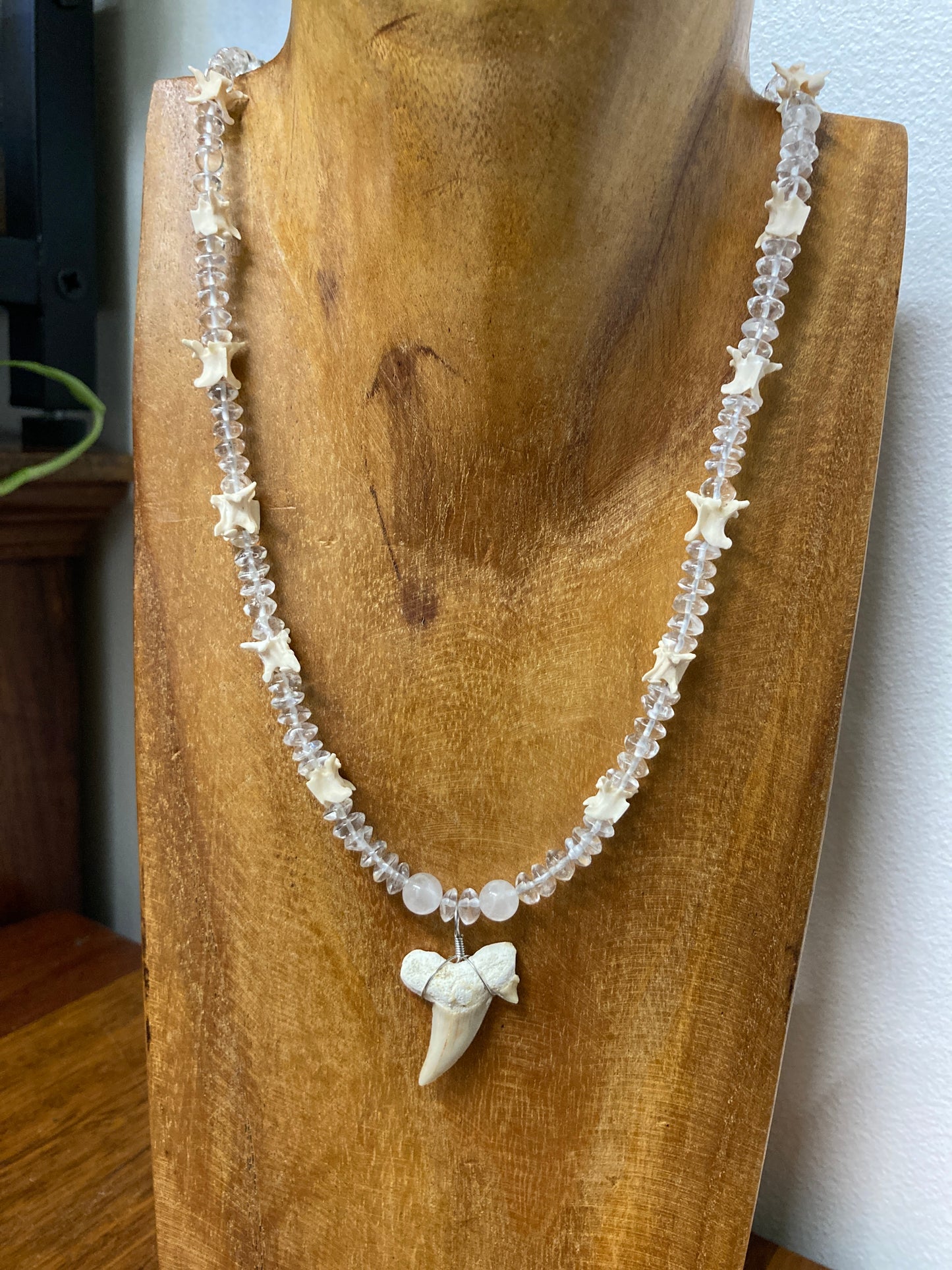 Shark Tooth, Snake Vertabrae Necklace
