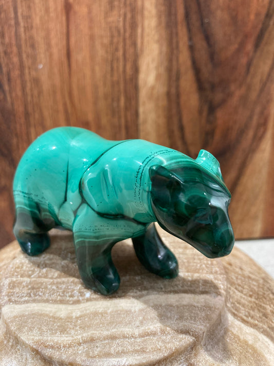 Malachite Bear