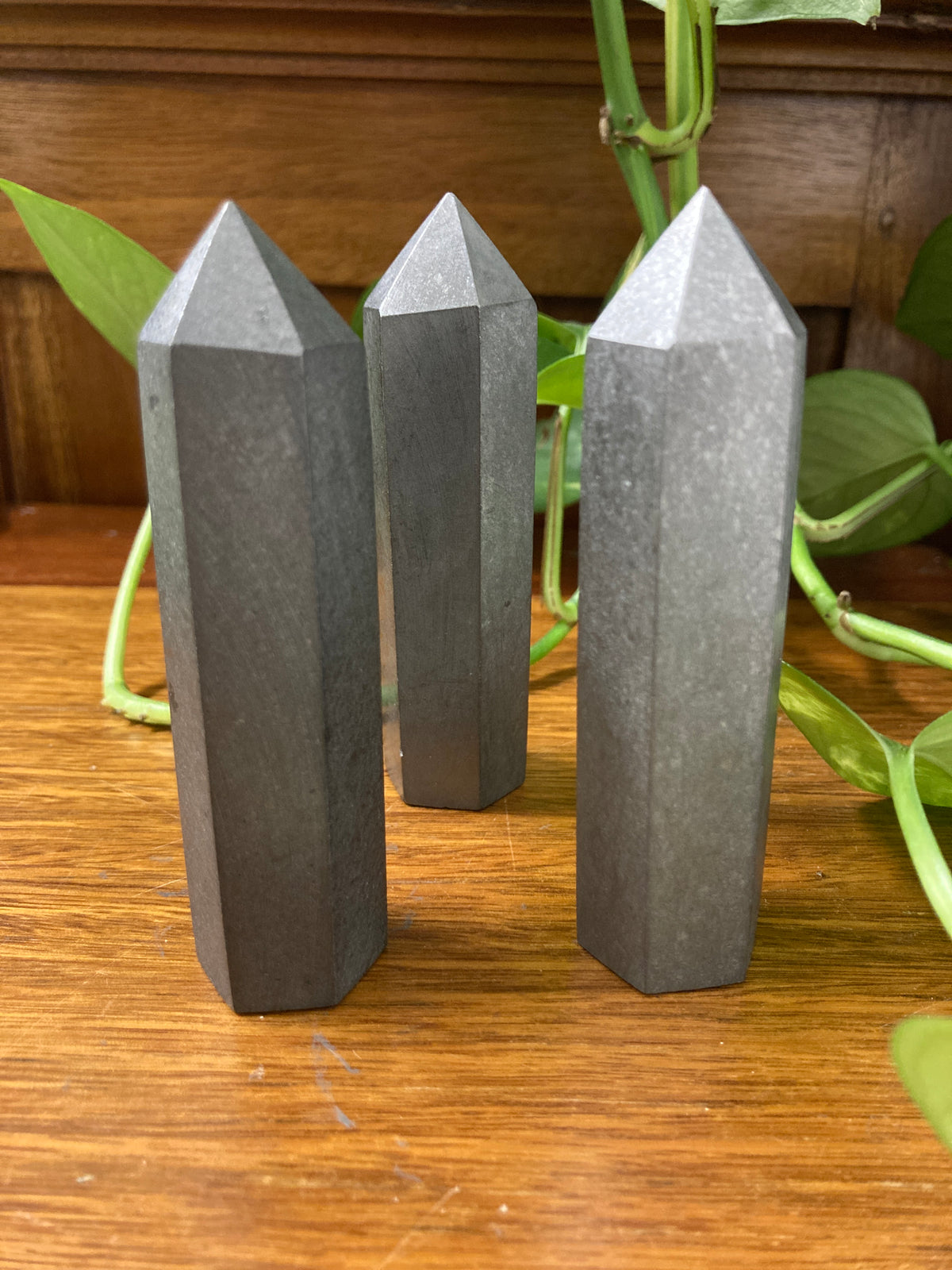 Petrovsky Shungite Generator