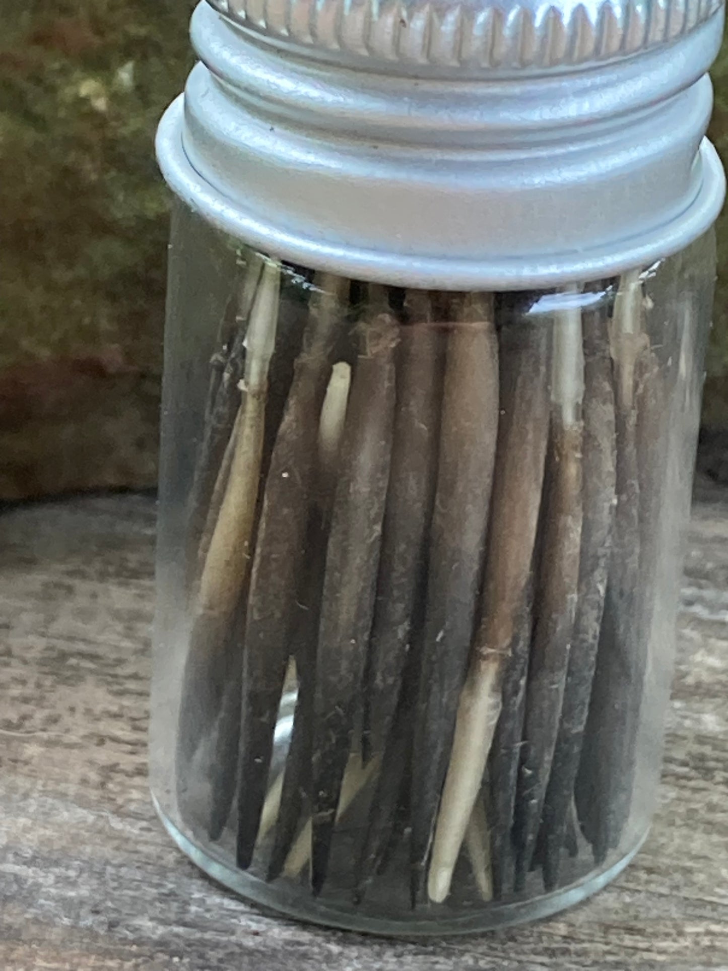 Echidna Quills
