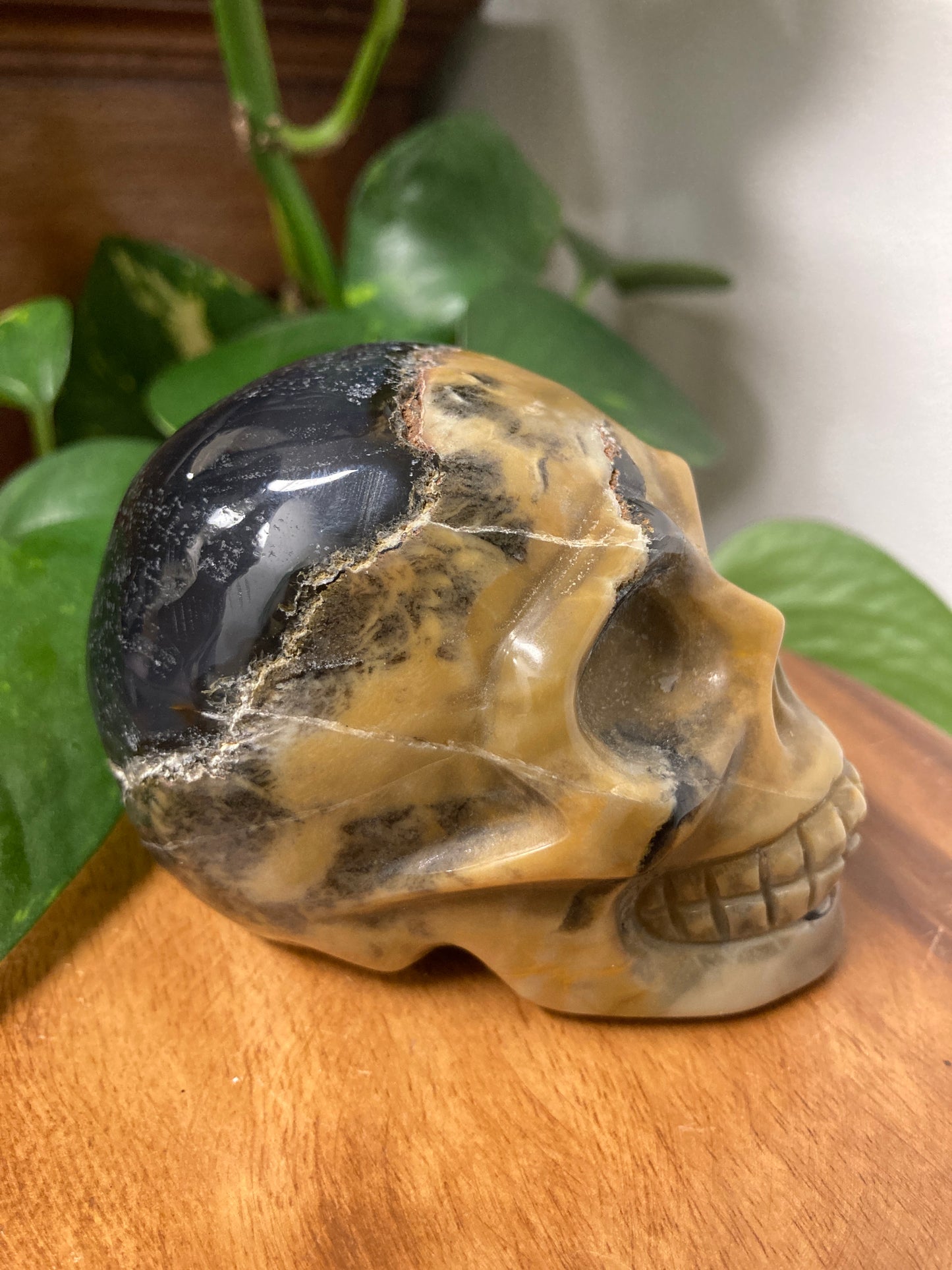Agate Crystal Skull B
