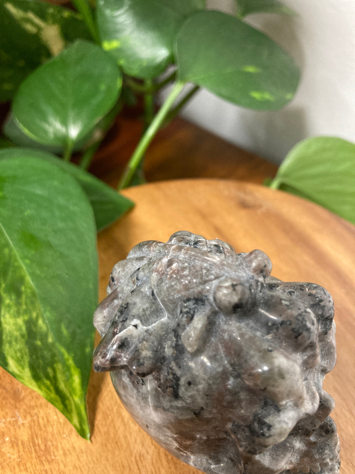 Yooperlite Skull