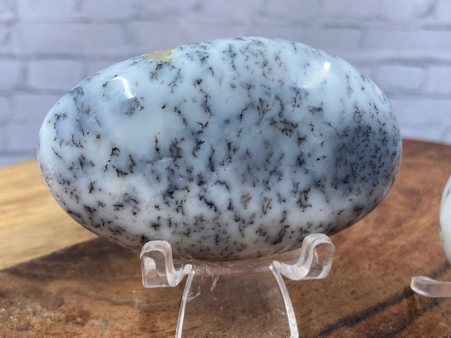 Dendritic Agate Palmstones