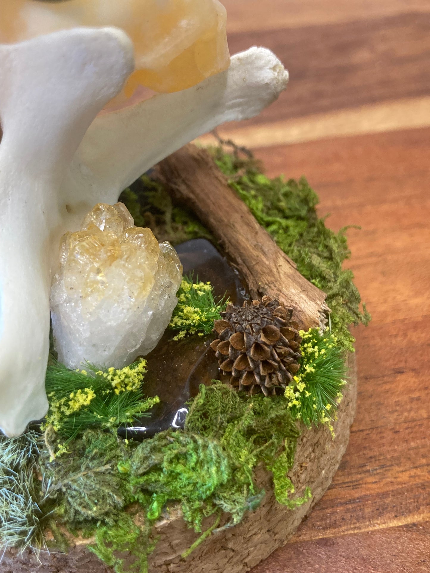 Fairy Bone Garden