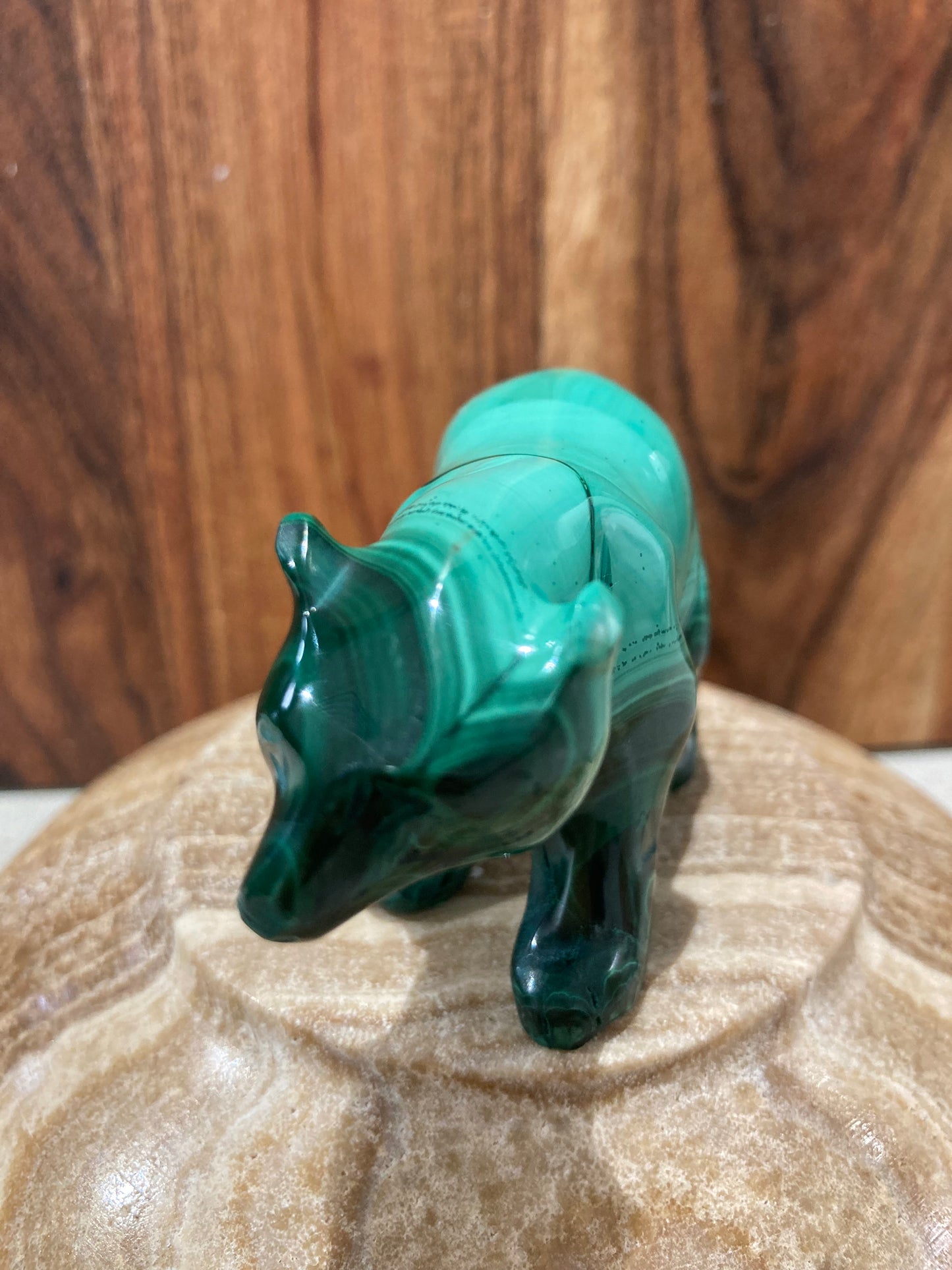 Malachite Bear