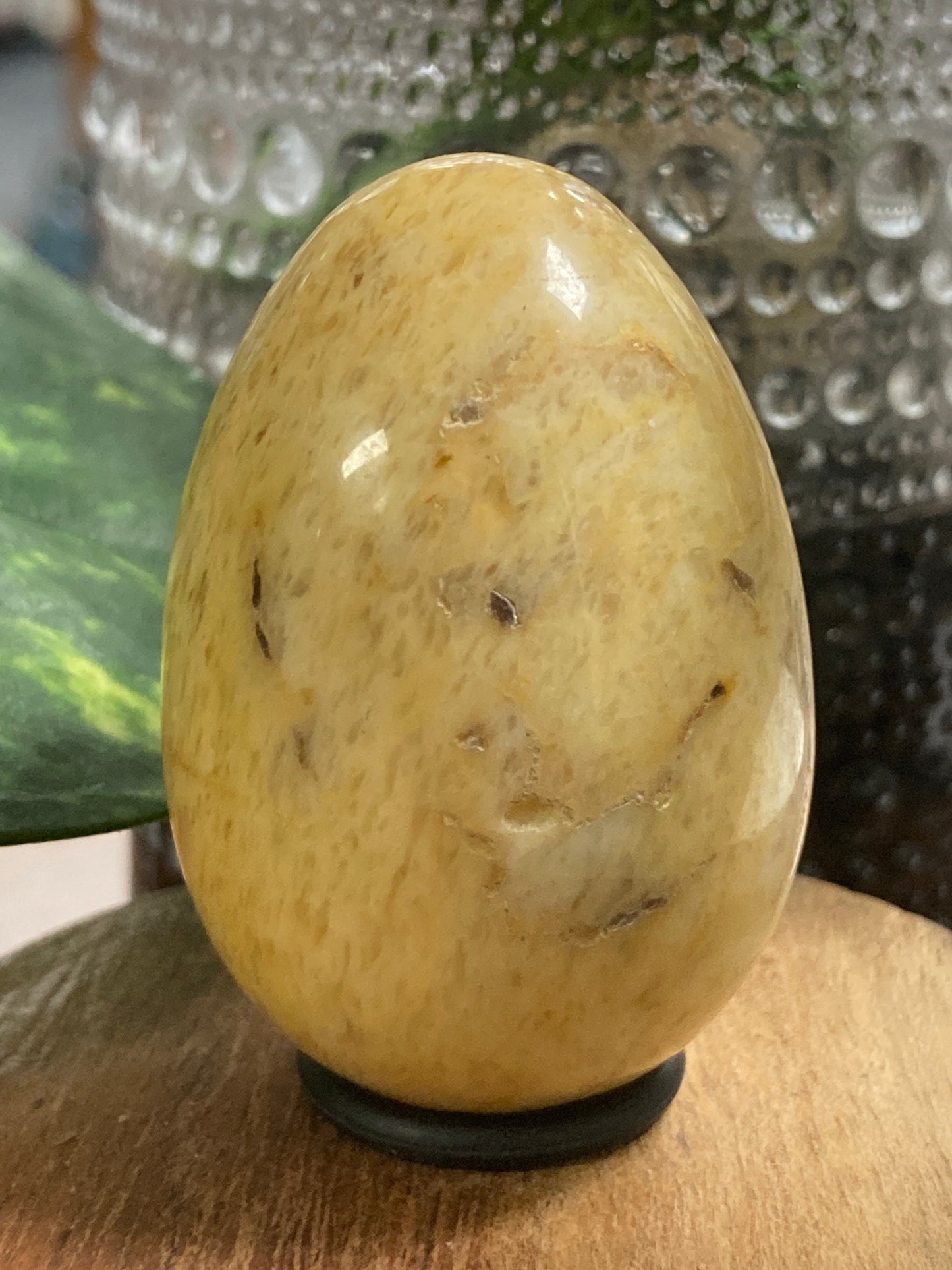 Crazy Lace Agate Egg