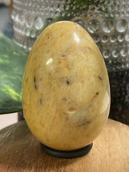 Crazy Lace Agate Egg