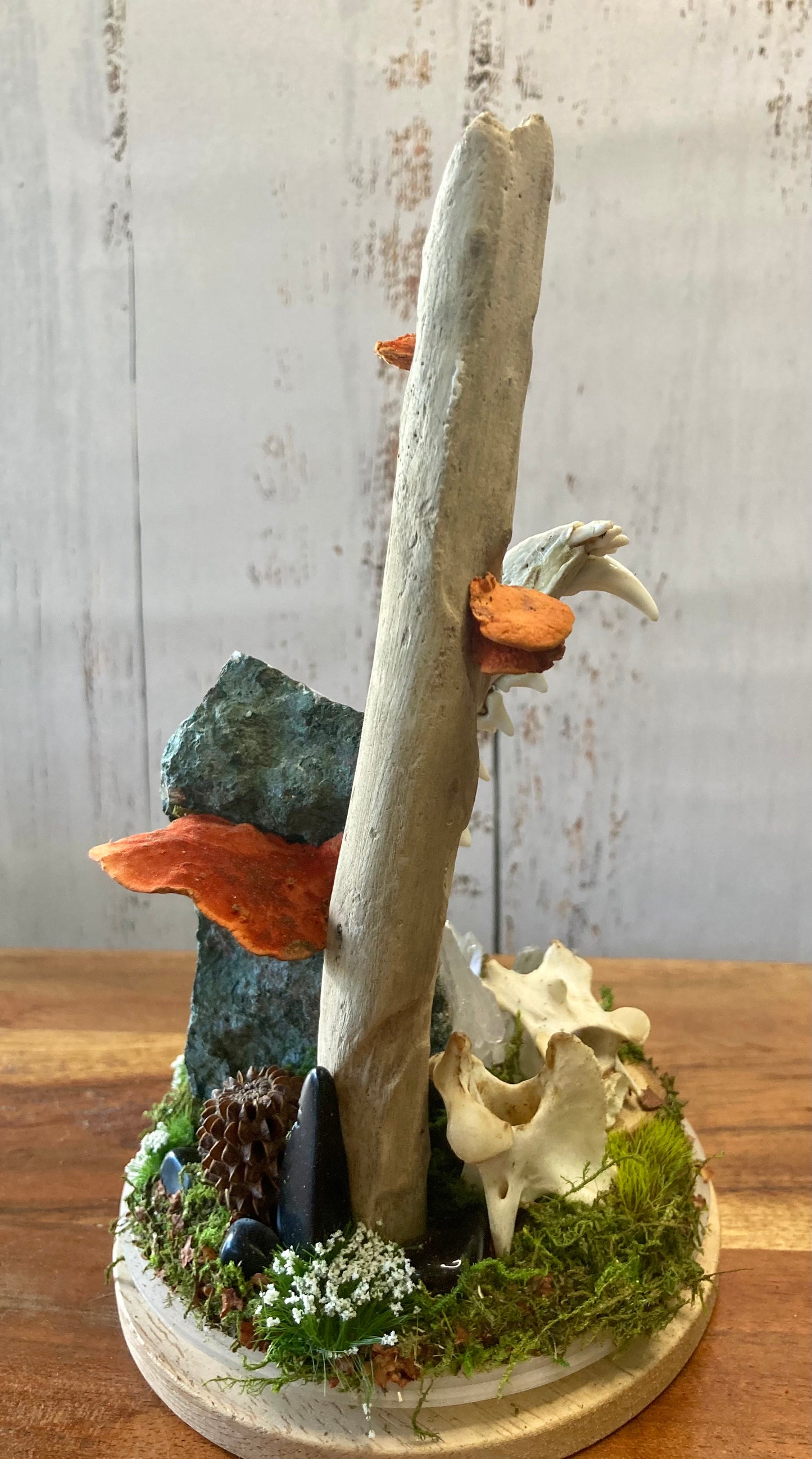 Bone Garden