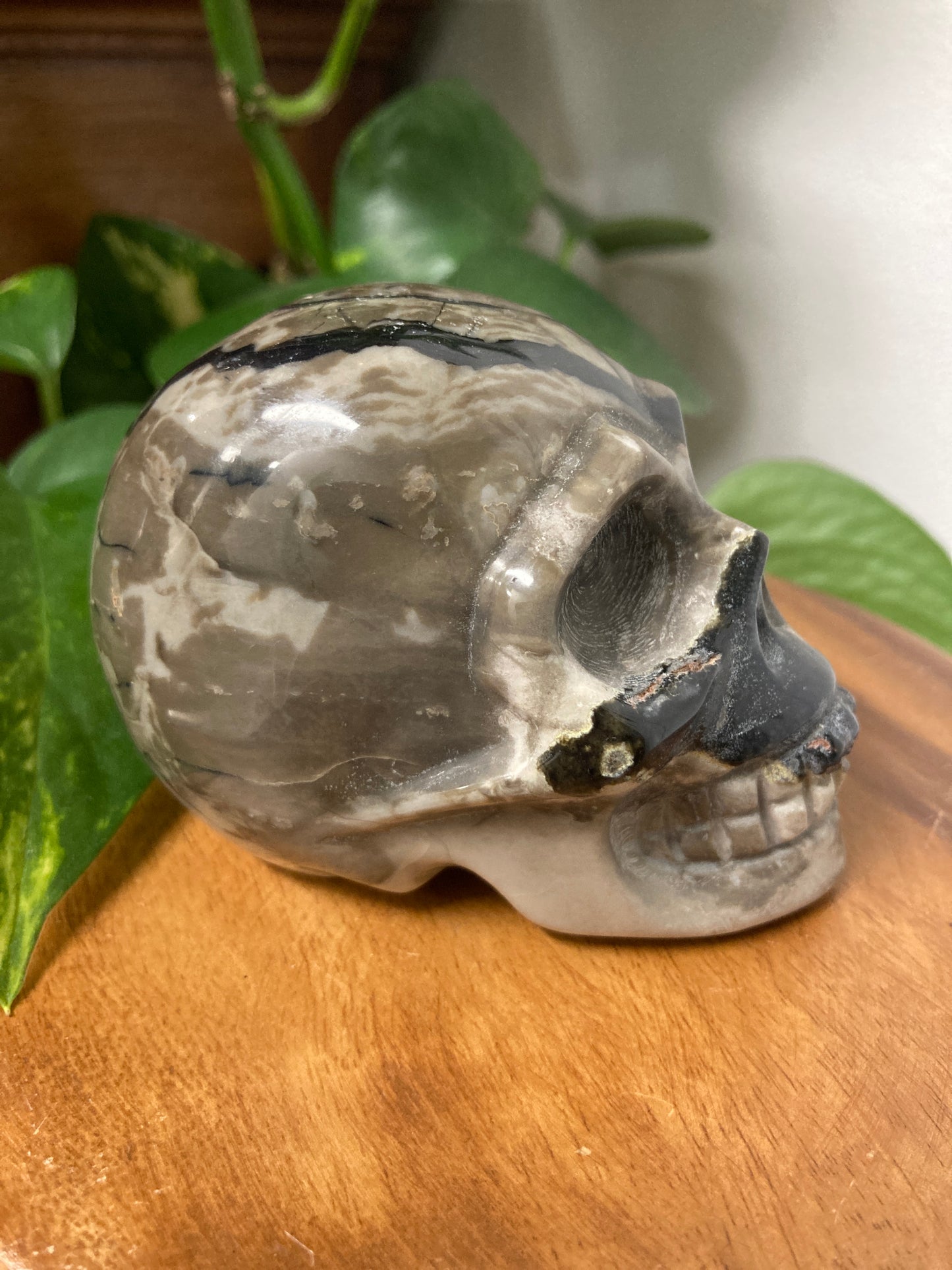 Agate Crystal Skull C