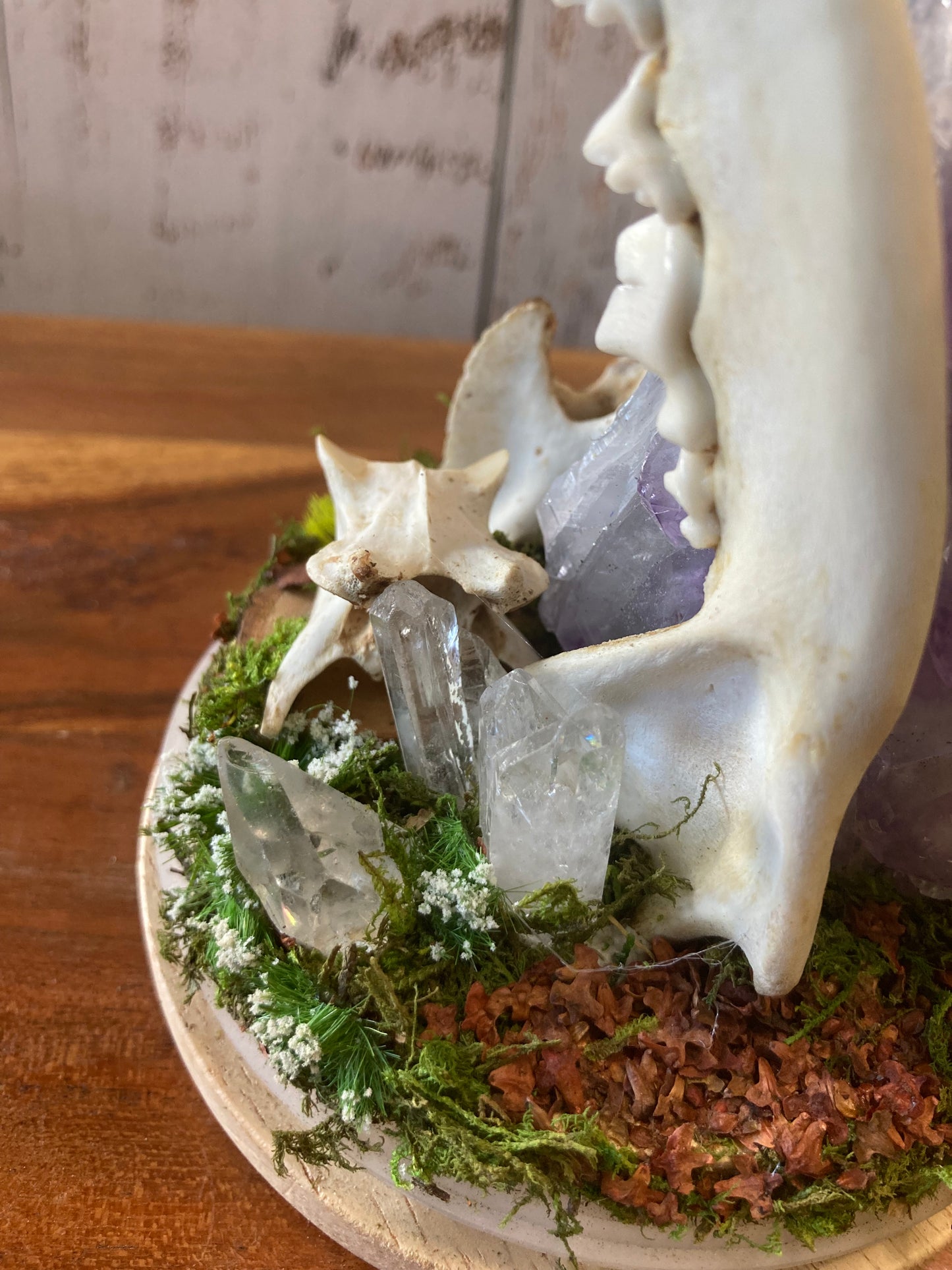 Bone Garden