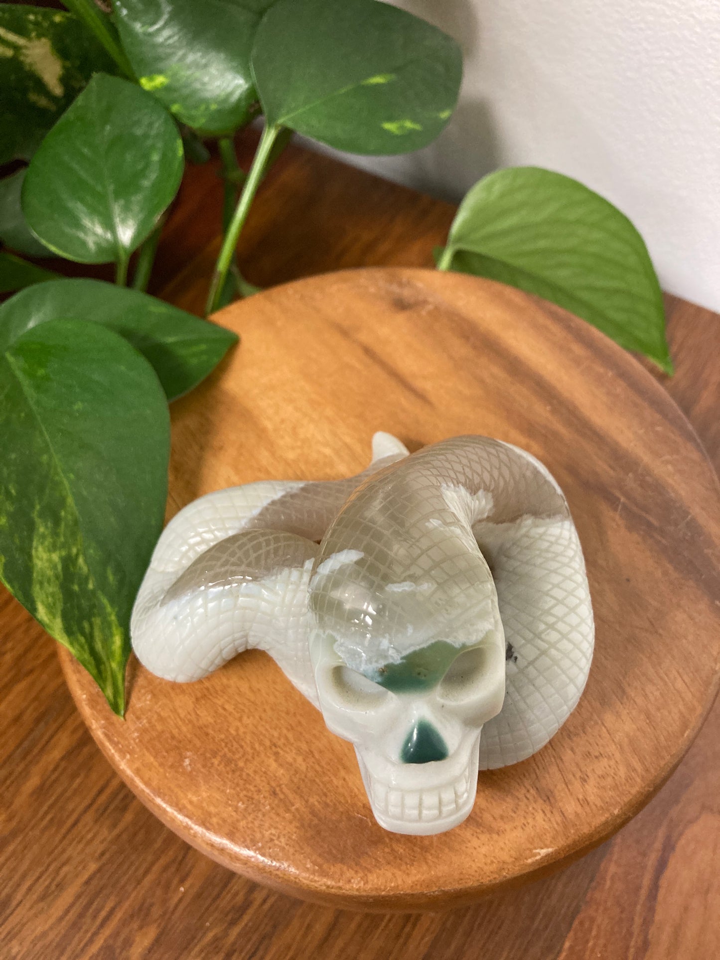 Moss Agate Skull Snake