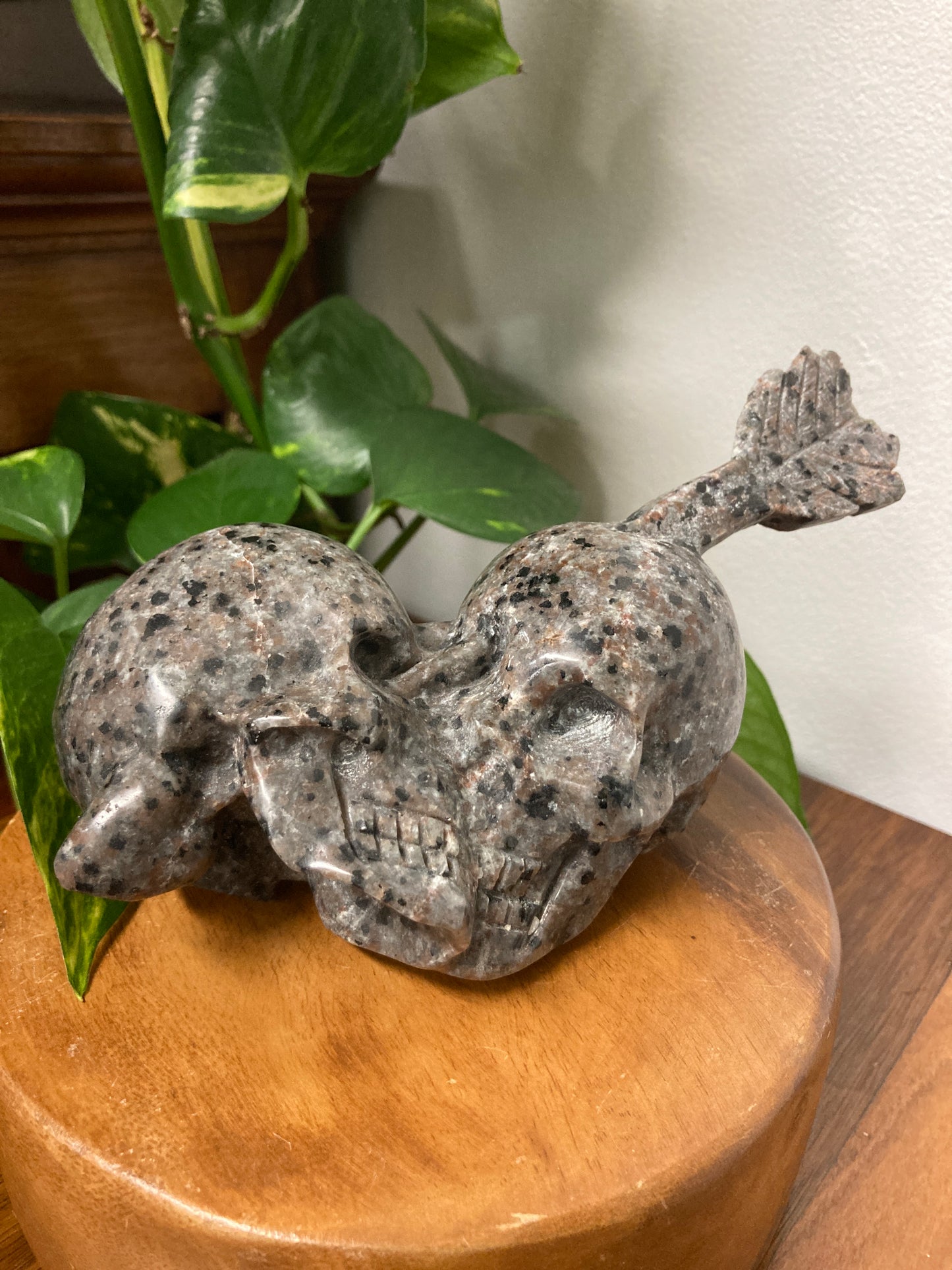 Yooperlite Skull