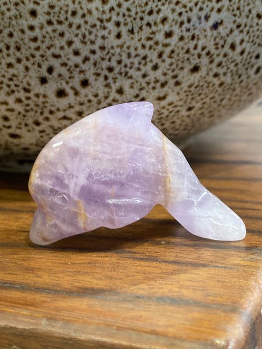 Amethyst Dolphin