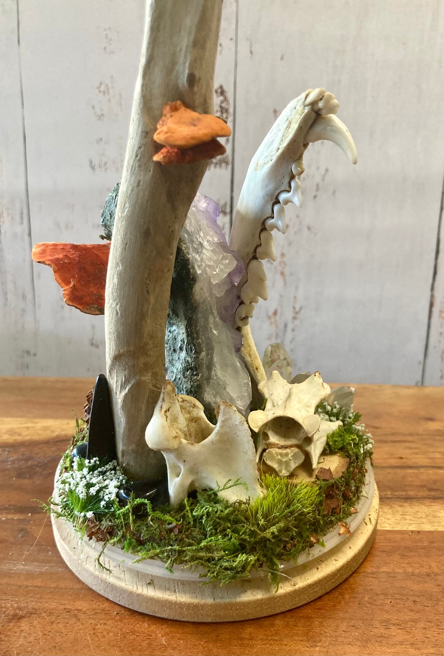 Bone Garden
