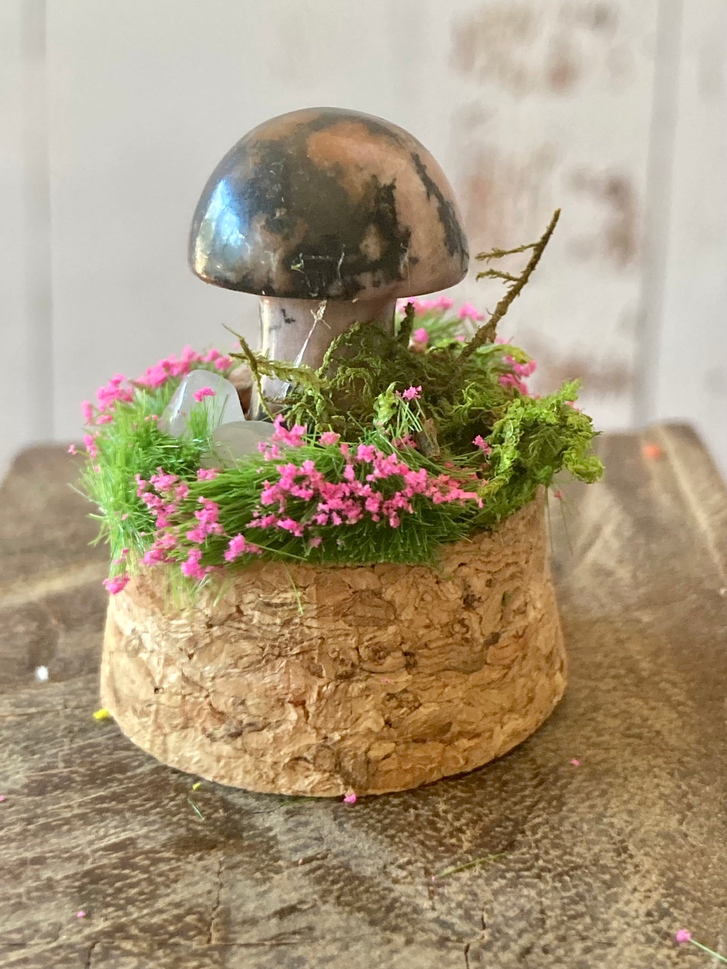 Rhodonite Mushroom terrarium
